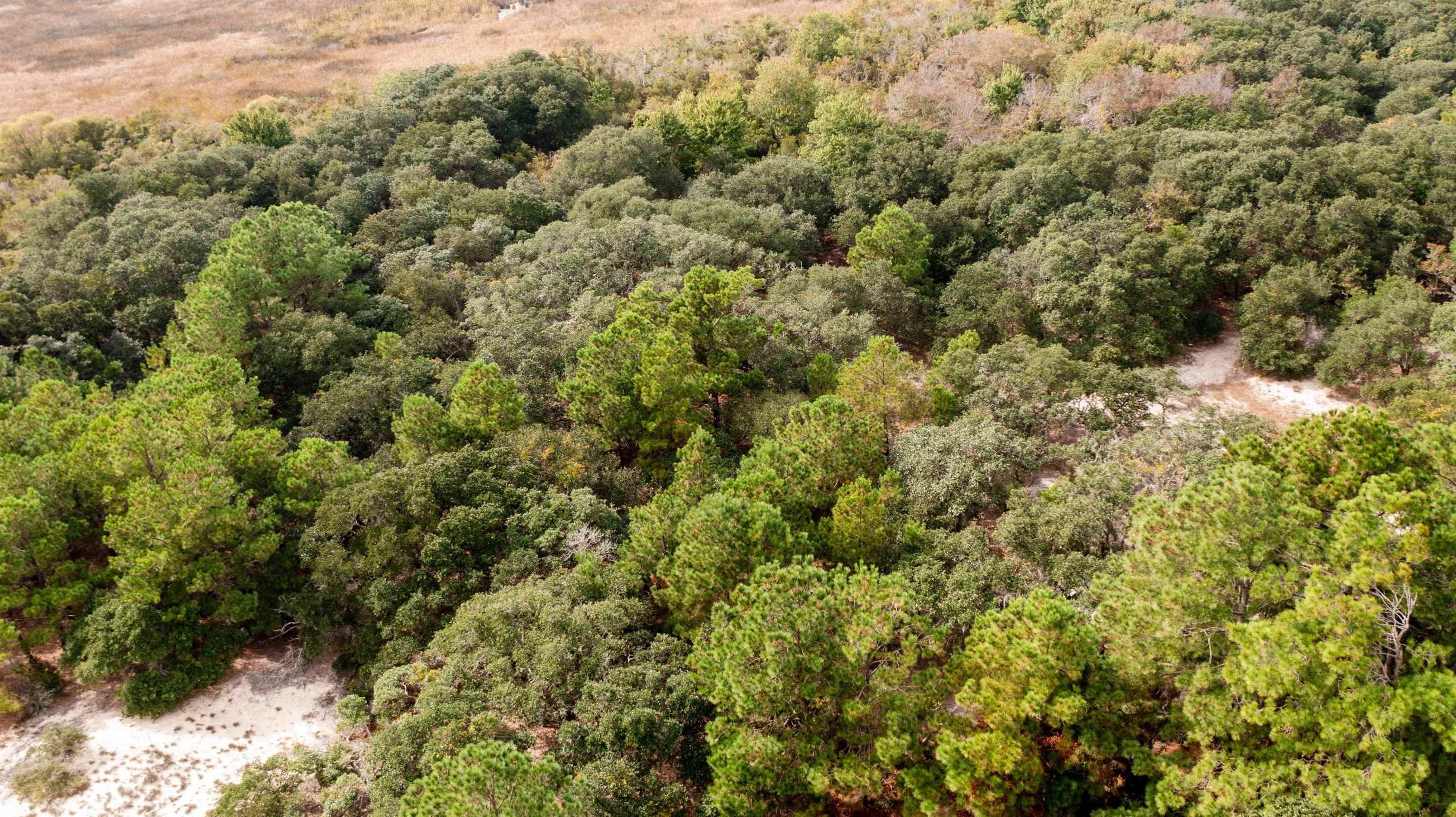 Hilltop Road Lot 1,2,&3