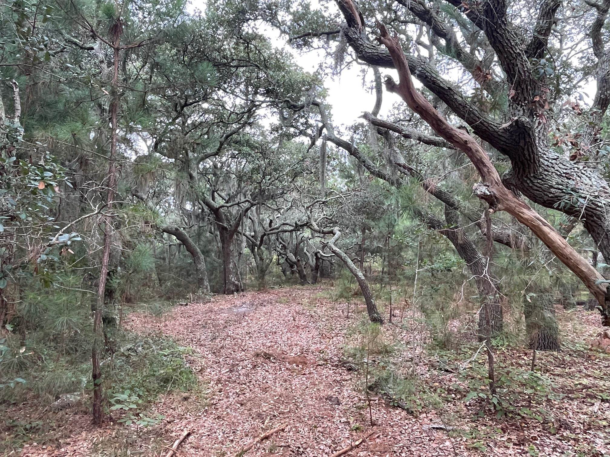 Hilltop Road Lot 1,2,&3