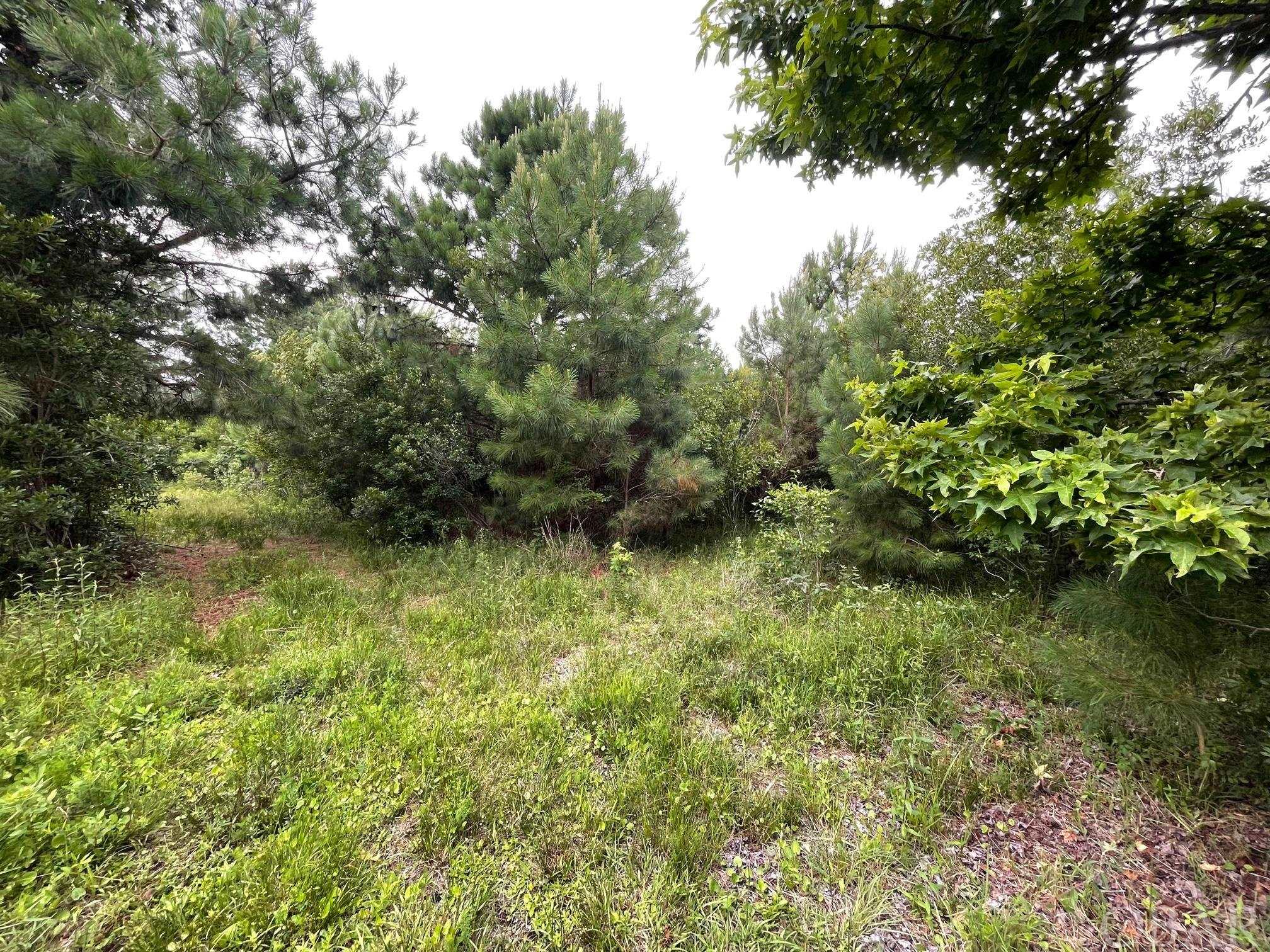 905 Dolphin Lane Lot #22