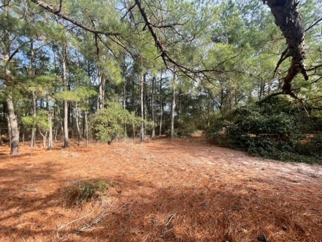 2317 False Cape Road Lot #21
