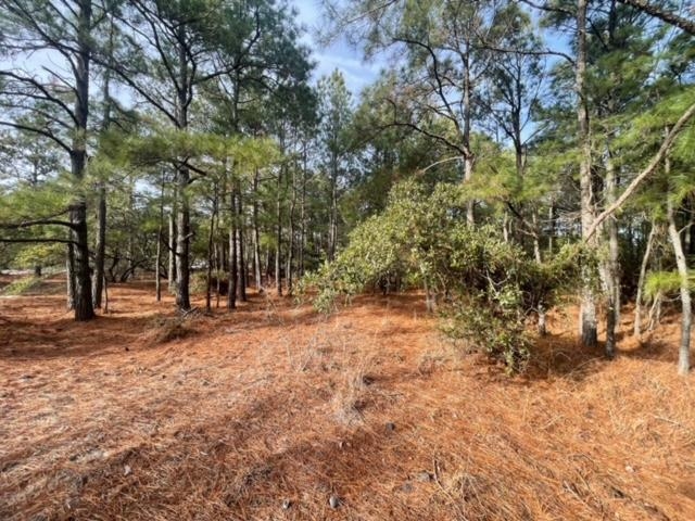 2317 False Cape Road Lot #21