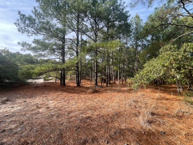 2317 False Cape Road Lot #21