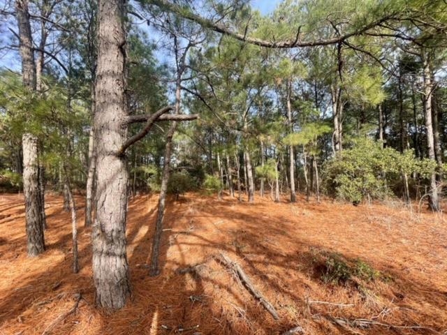 2317 False Cape Road Lot #21