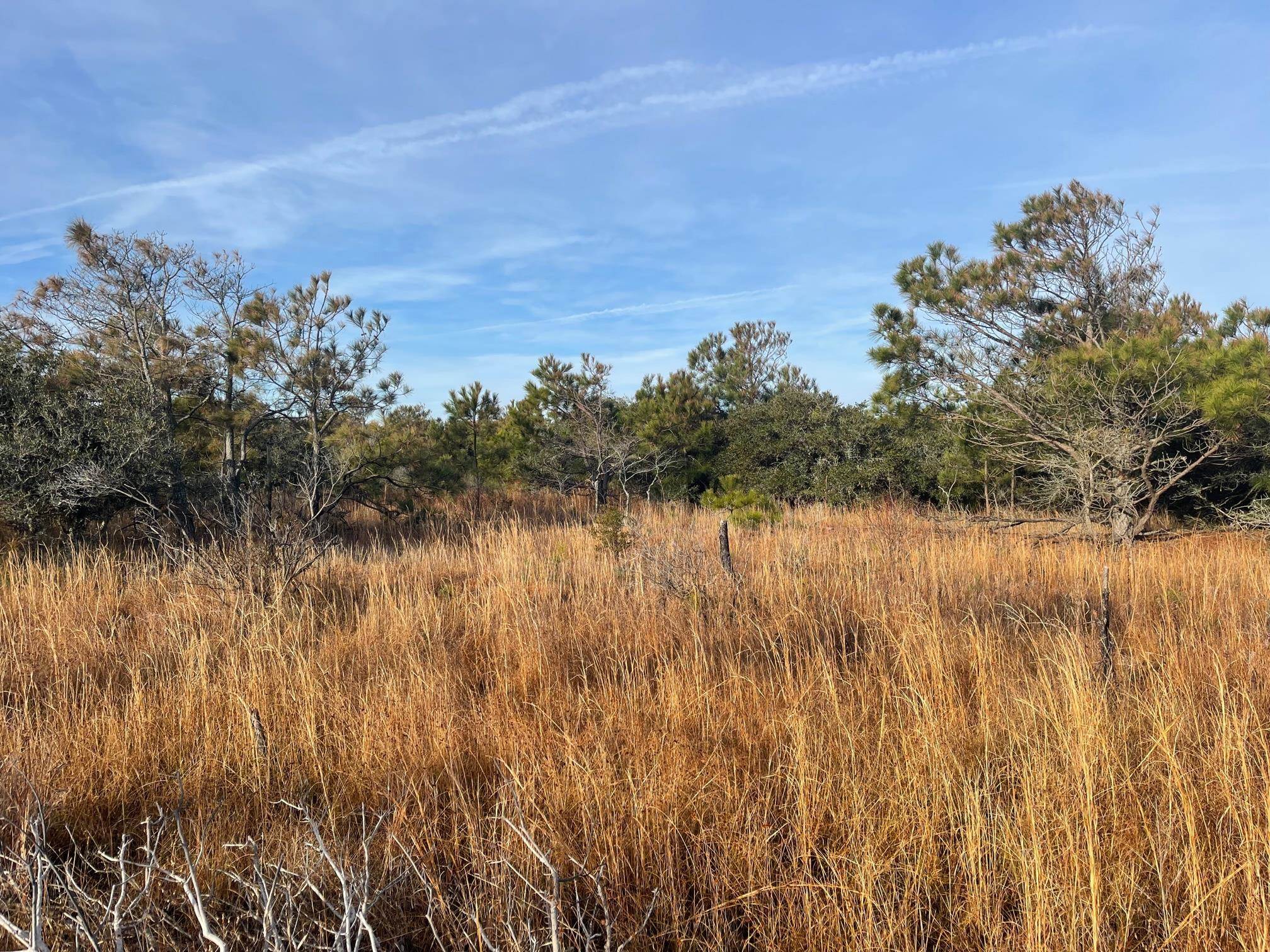 1677 Canal Road Lot #106