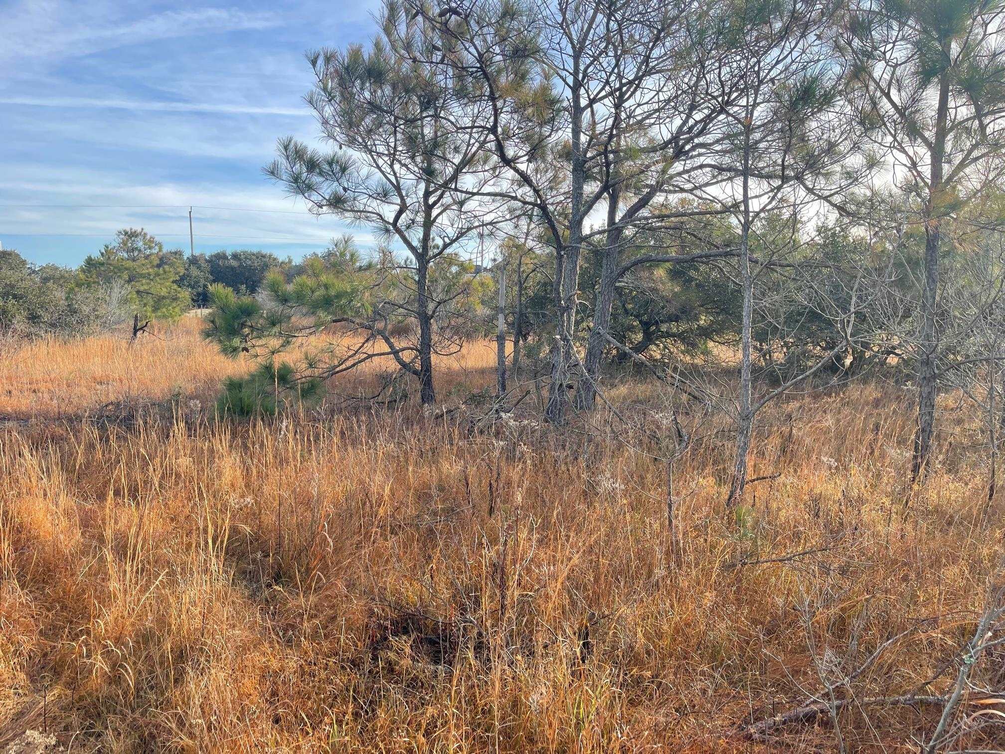 1677 Canal Road Lot #106