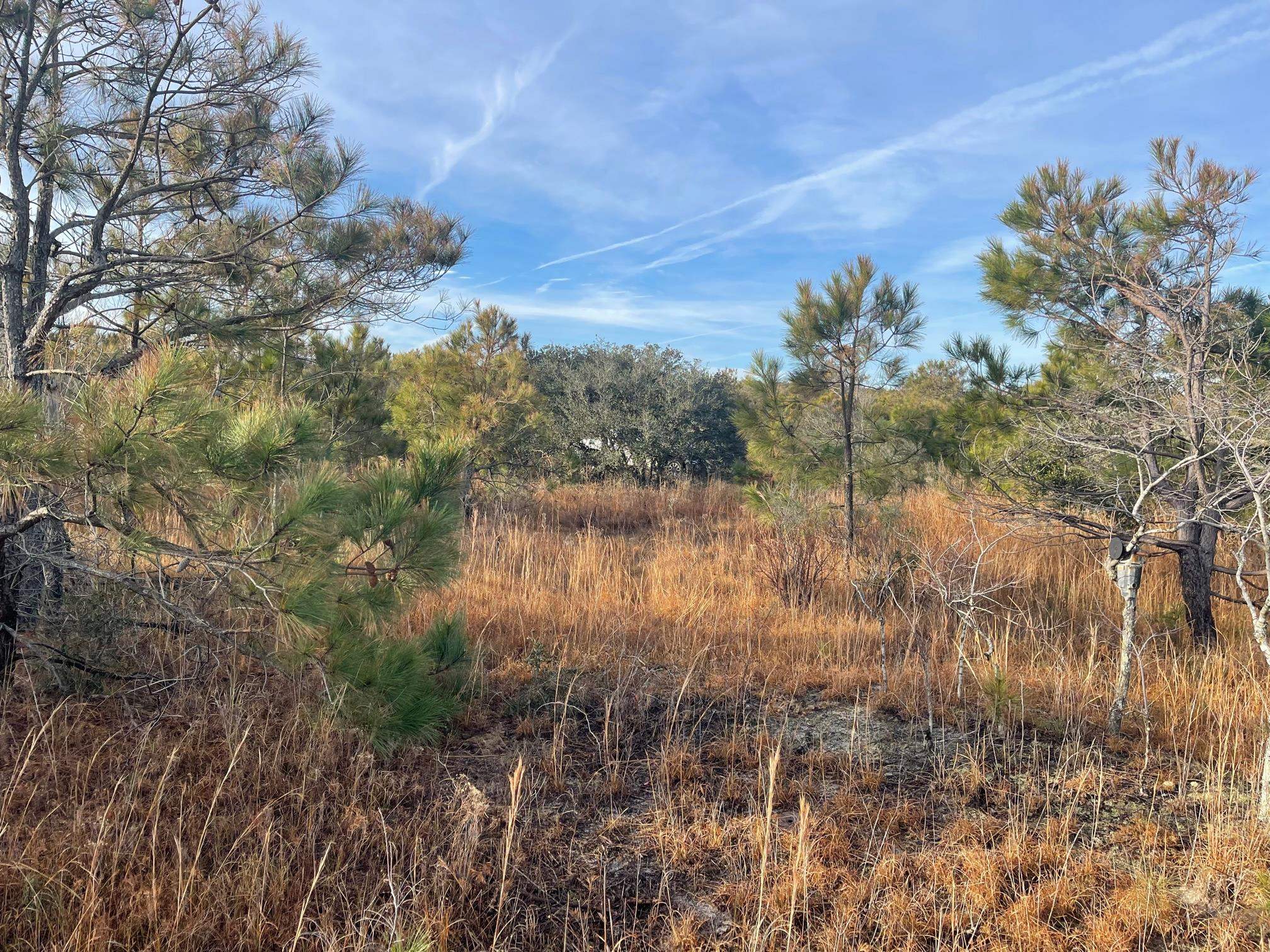 1677 Canal Road Lot #106