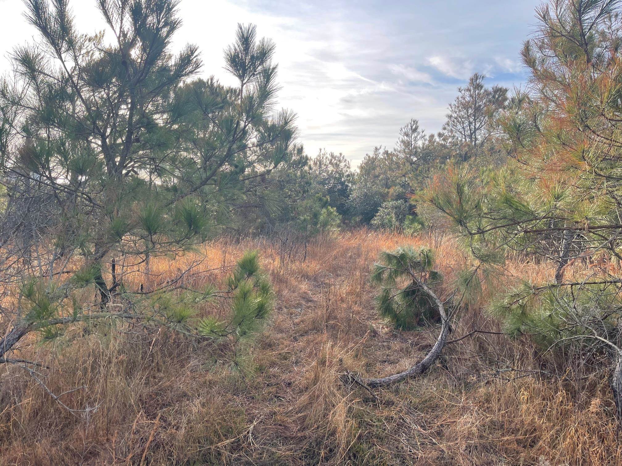 1677 Canal Road Lot #106
