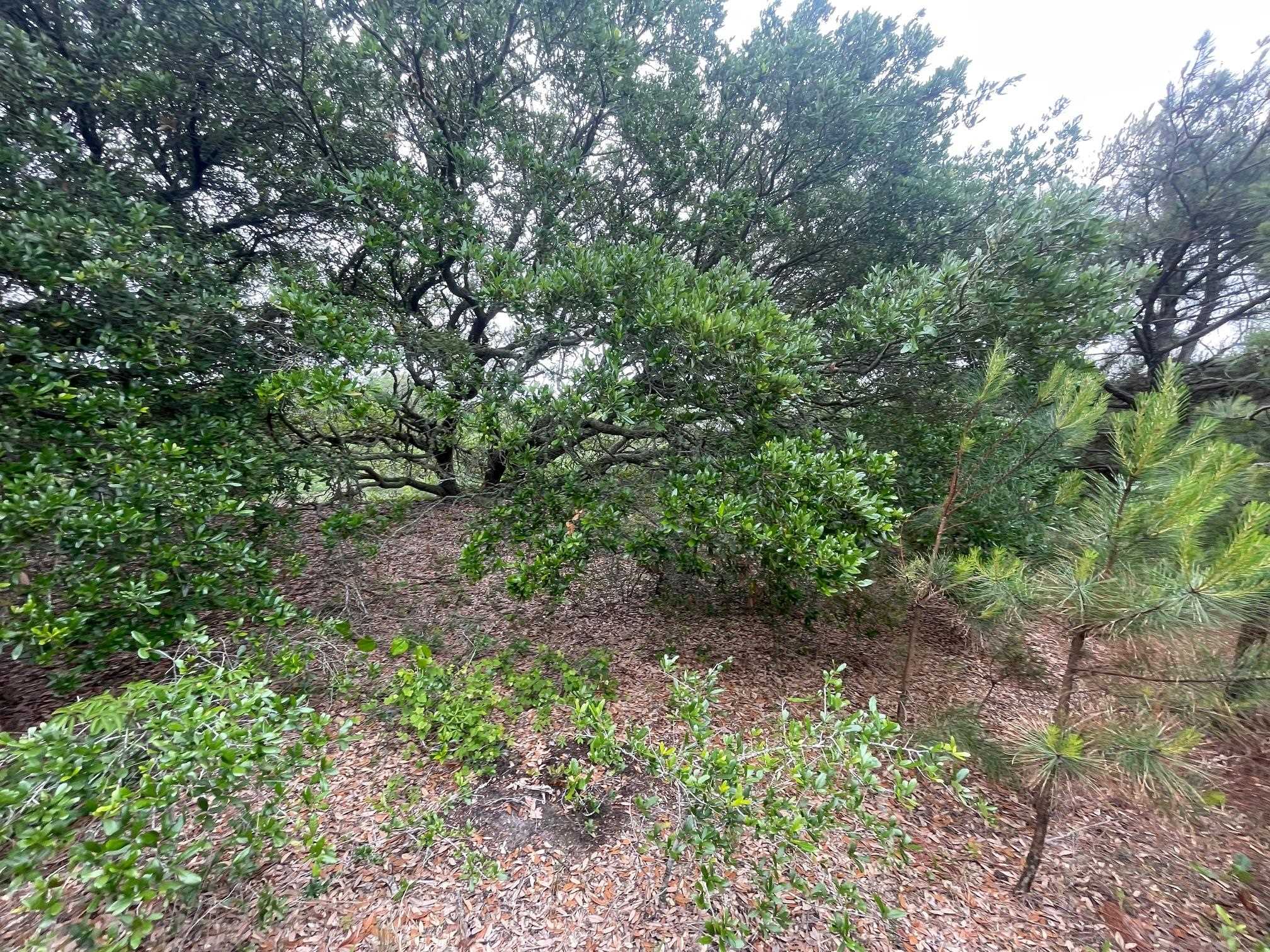 1670 Midland Road Lot #14