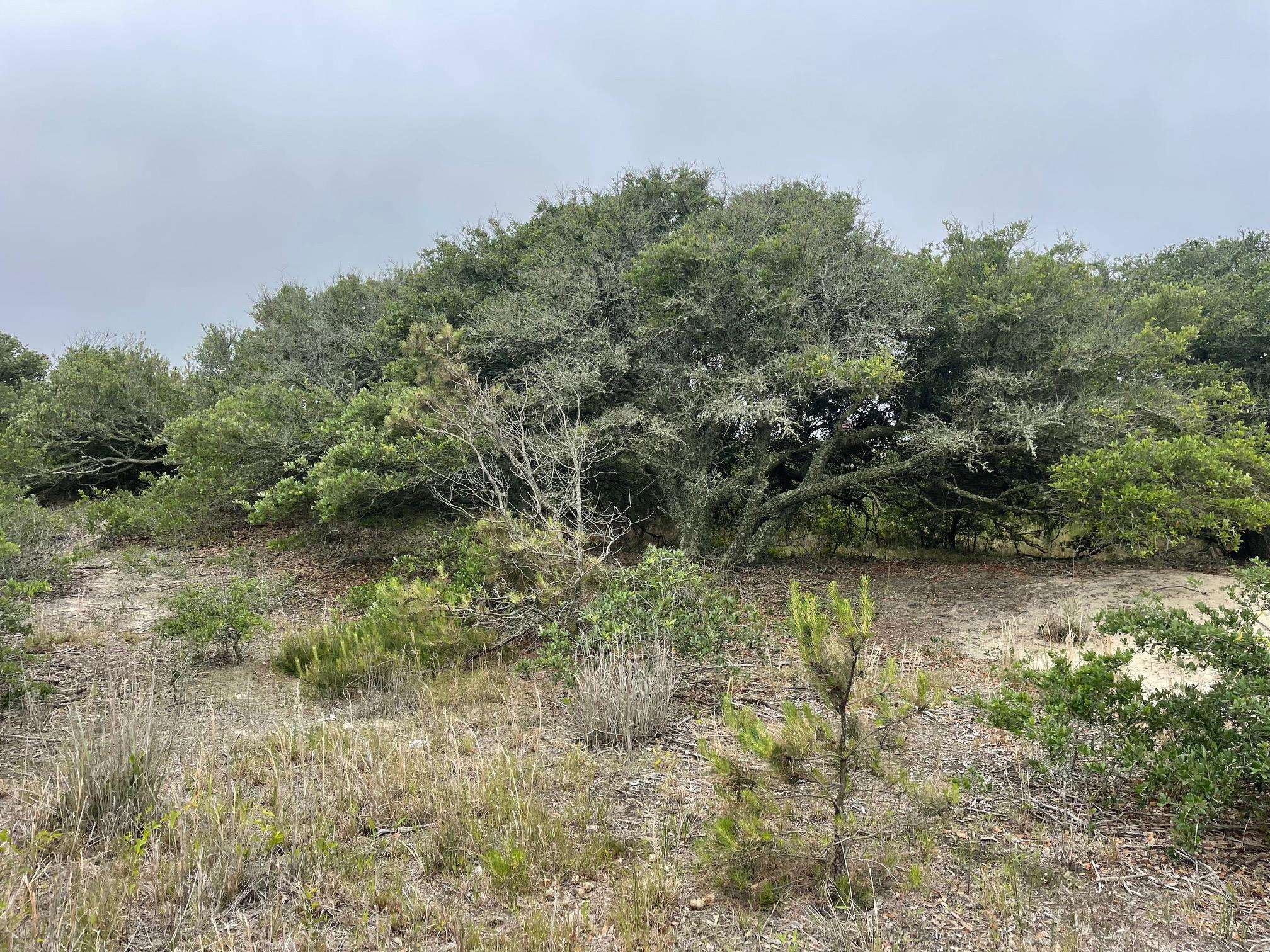 1670 Midland Road Lot #14