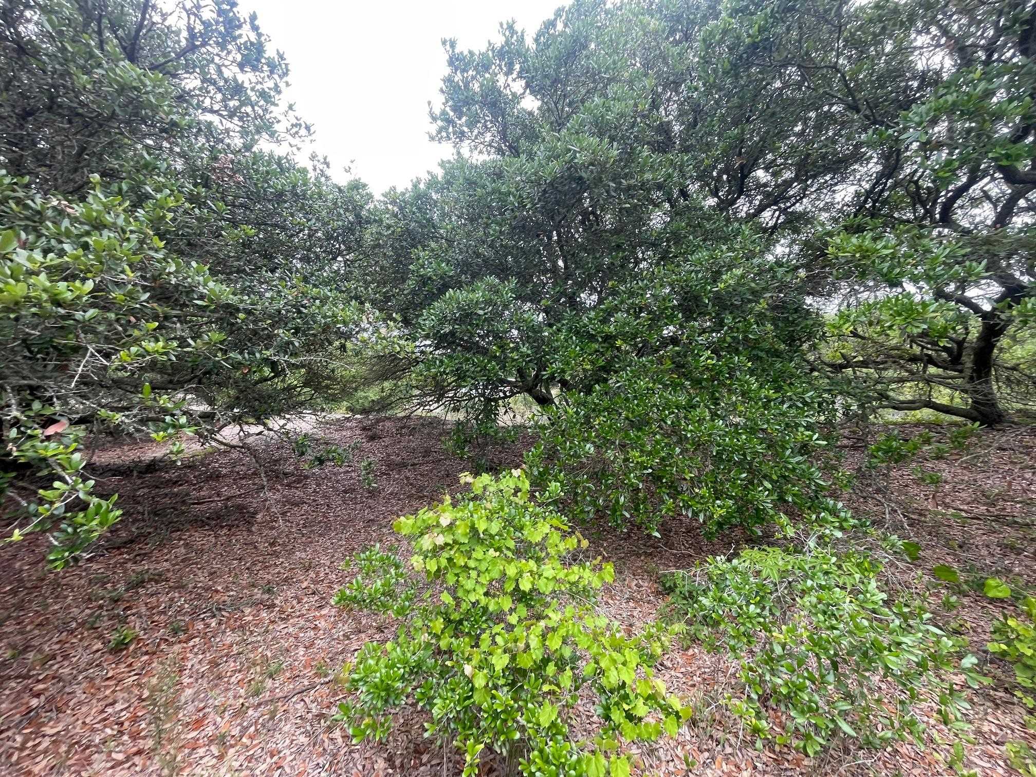 1670 Midland Road Lot #14