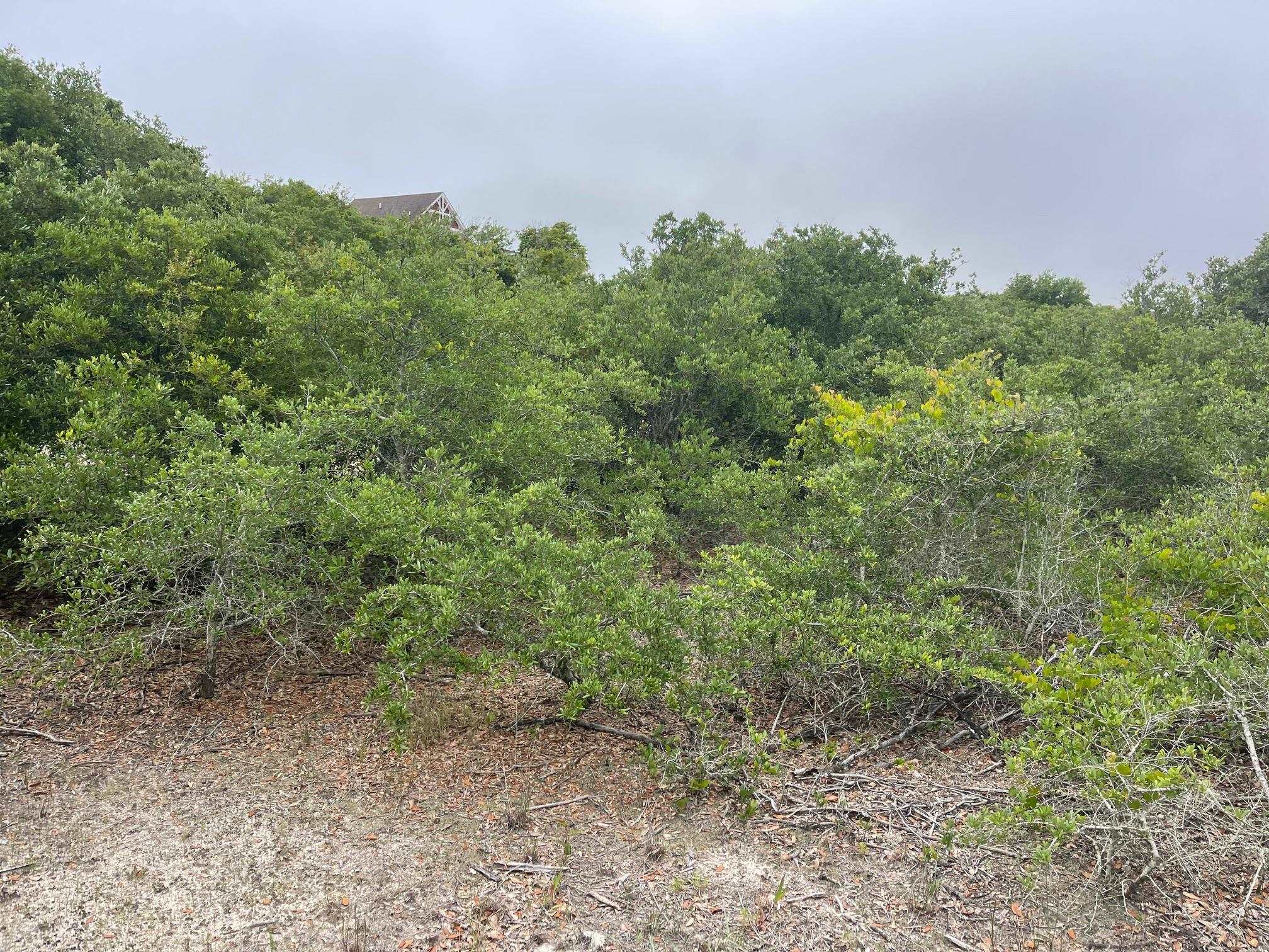 1670 Midland Road Lot #14