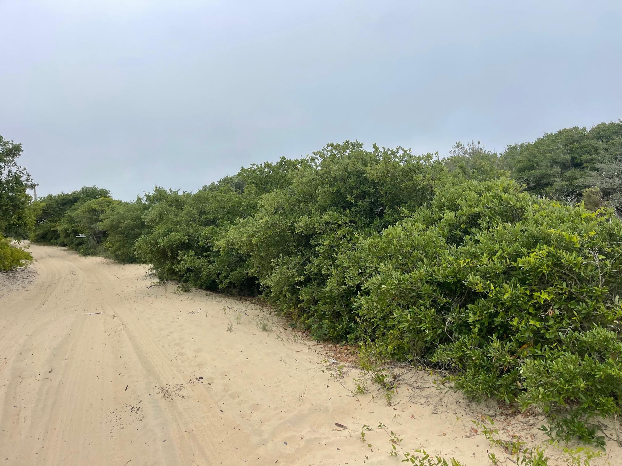 1670 Midland Road Lot #14