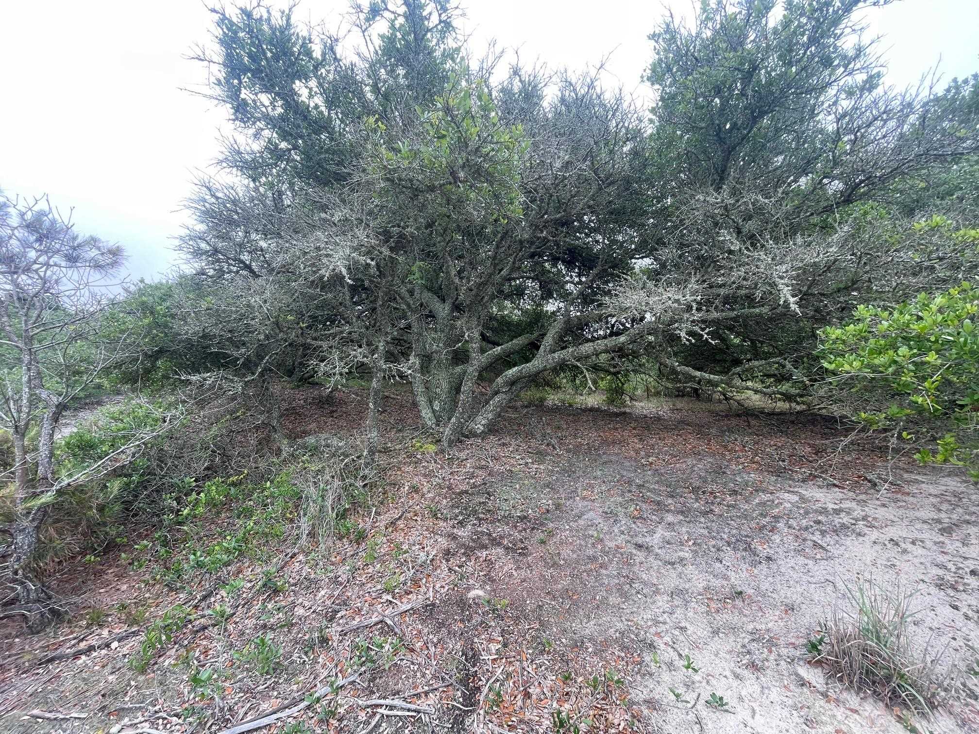 1670 Midland Road Lot #14