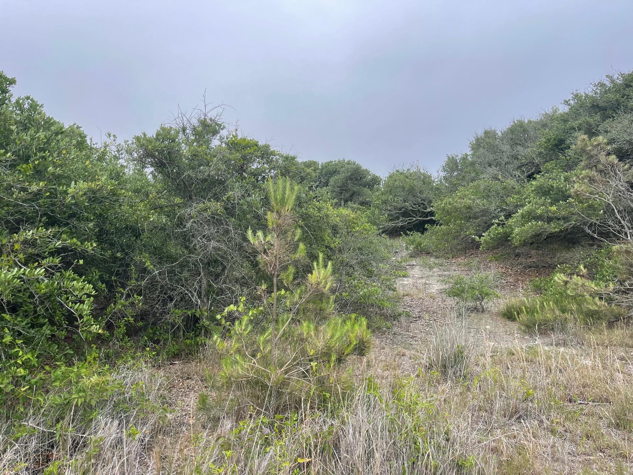 1670 Midland Road Lot #14