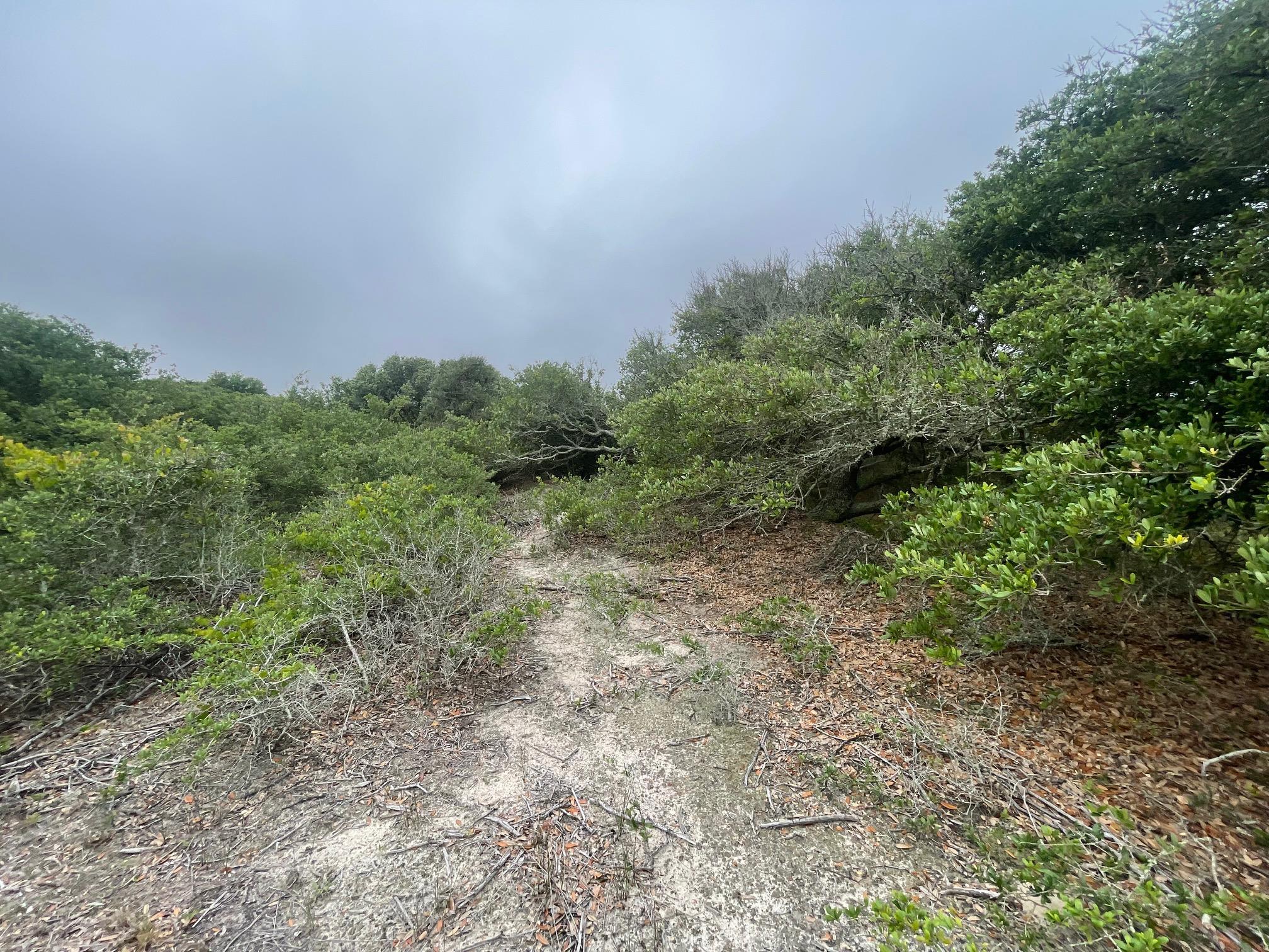 1670 Midland Road Lot #14