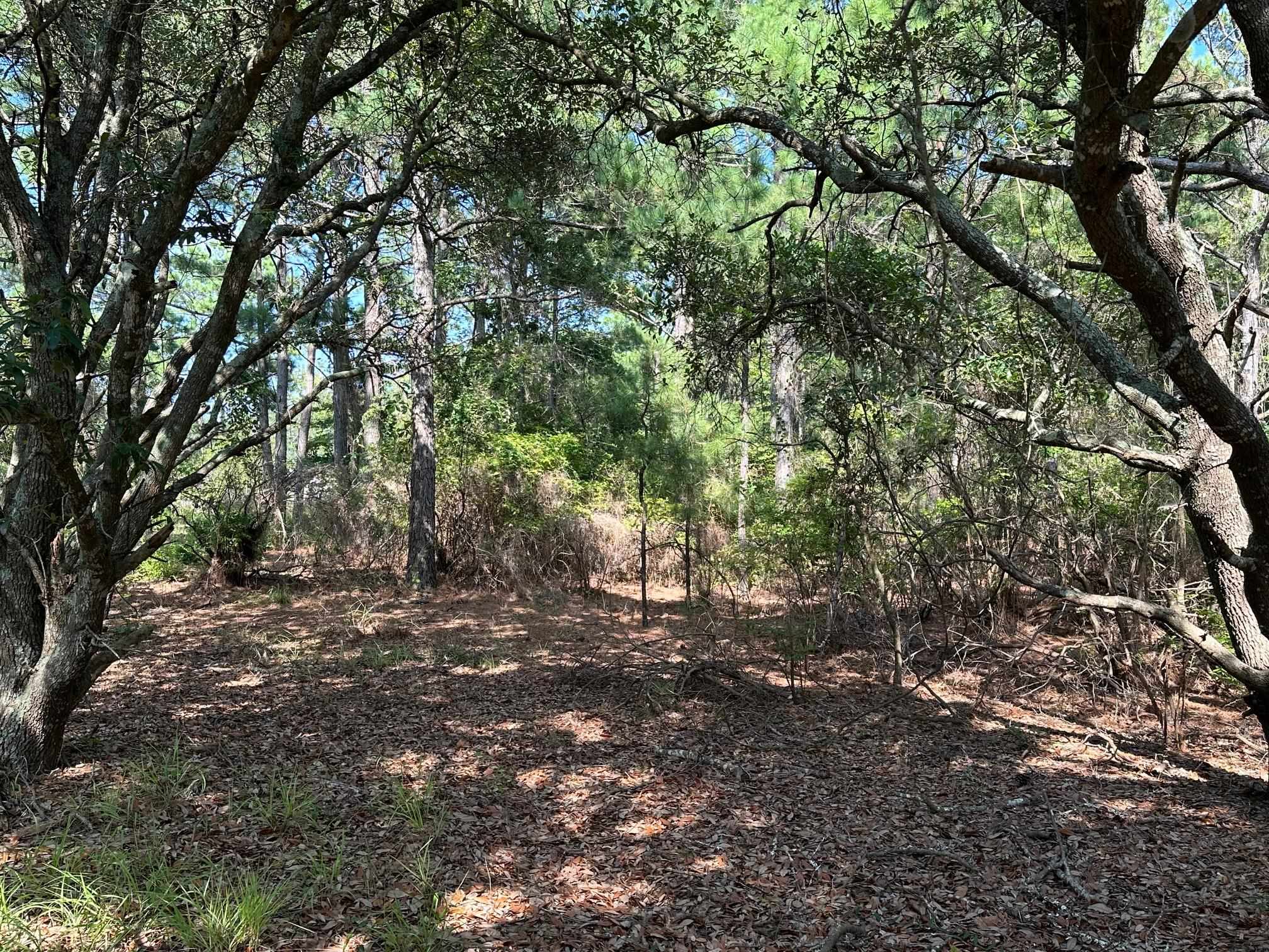 2303 False Cape Road Lot #14