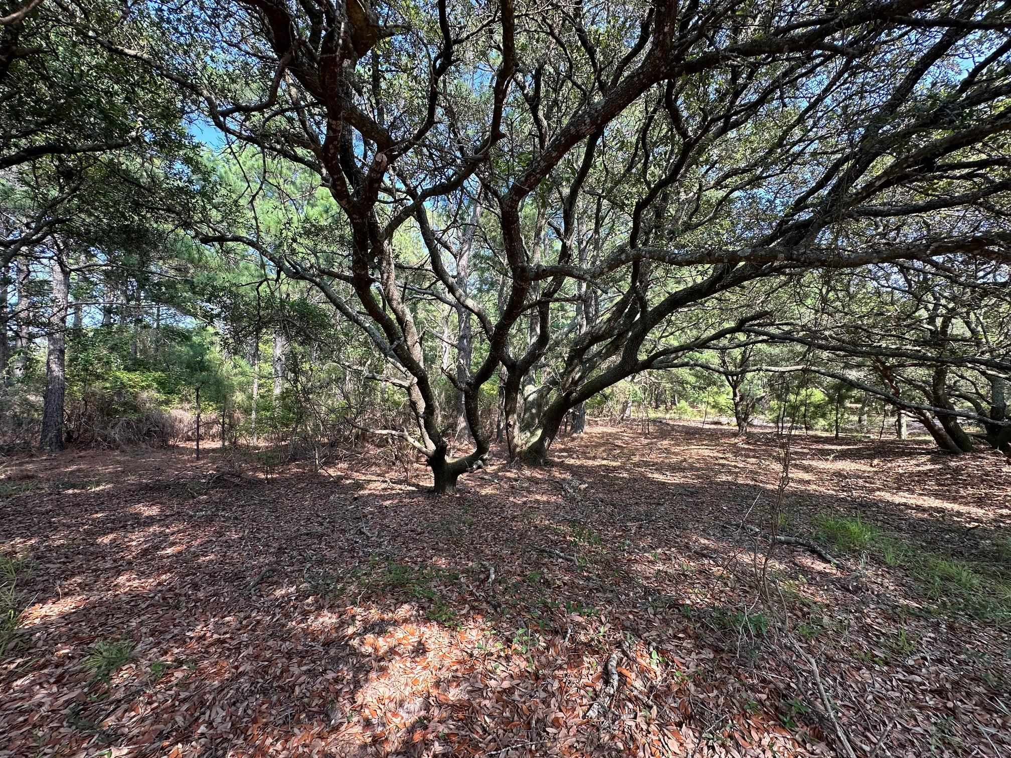 2303 False Cape Road Lot #14