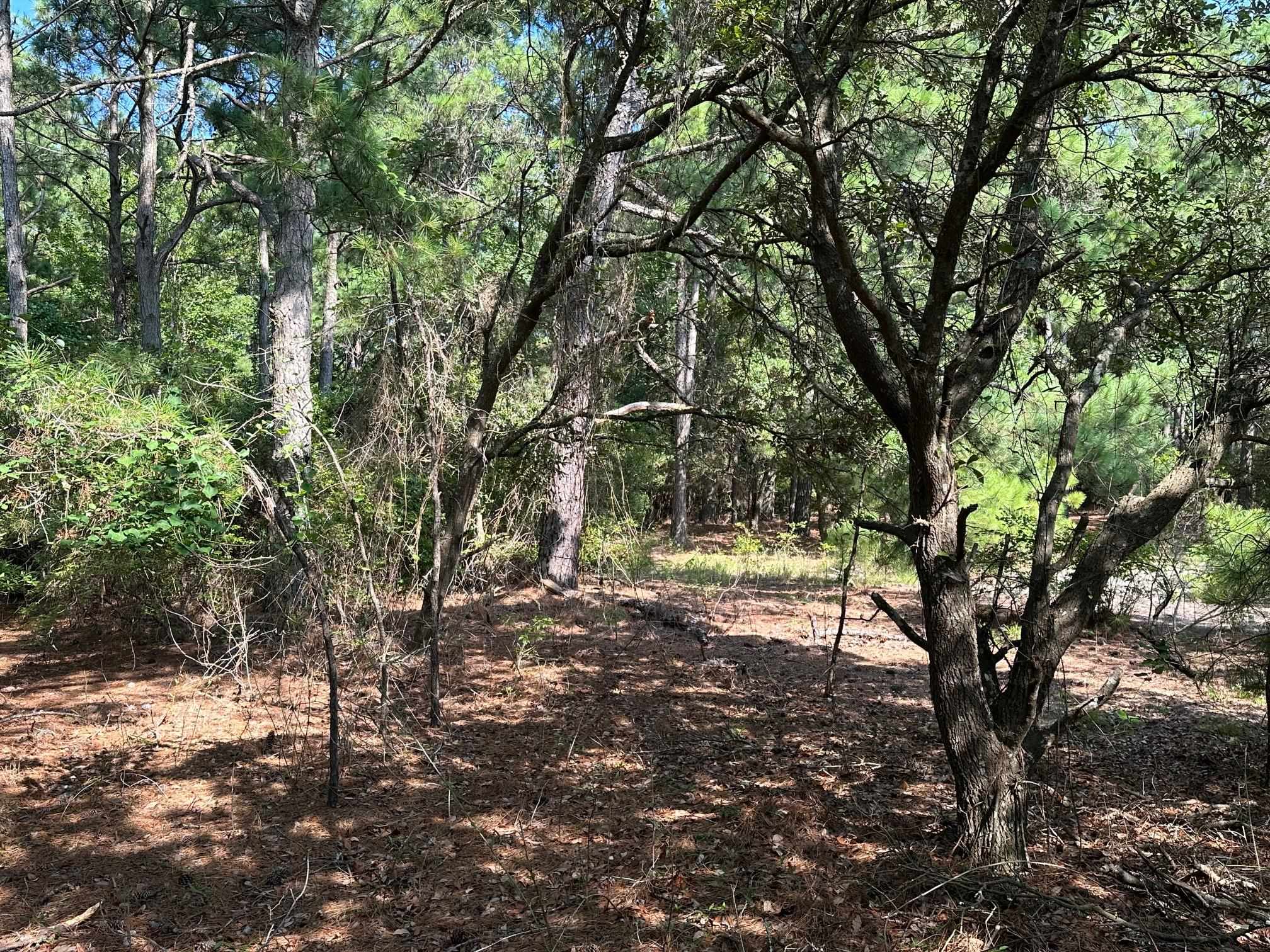 2303 False Cape Road Lot #14