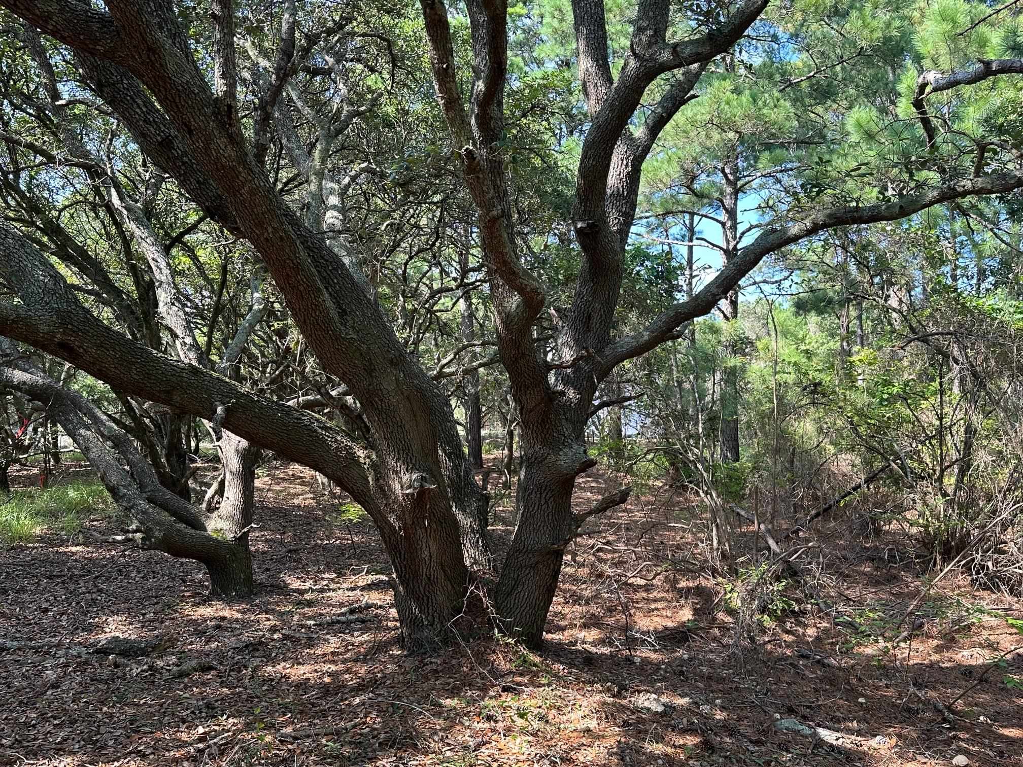 2303 False Cape Road Lot #14
