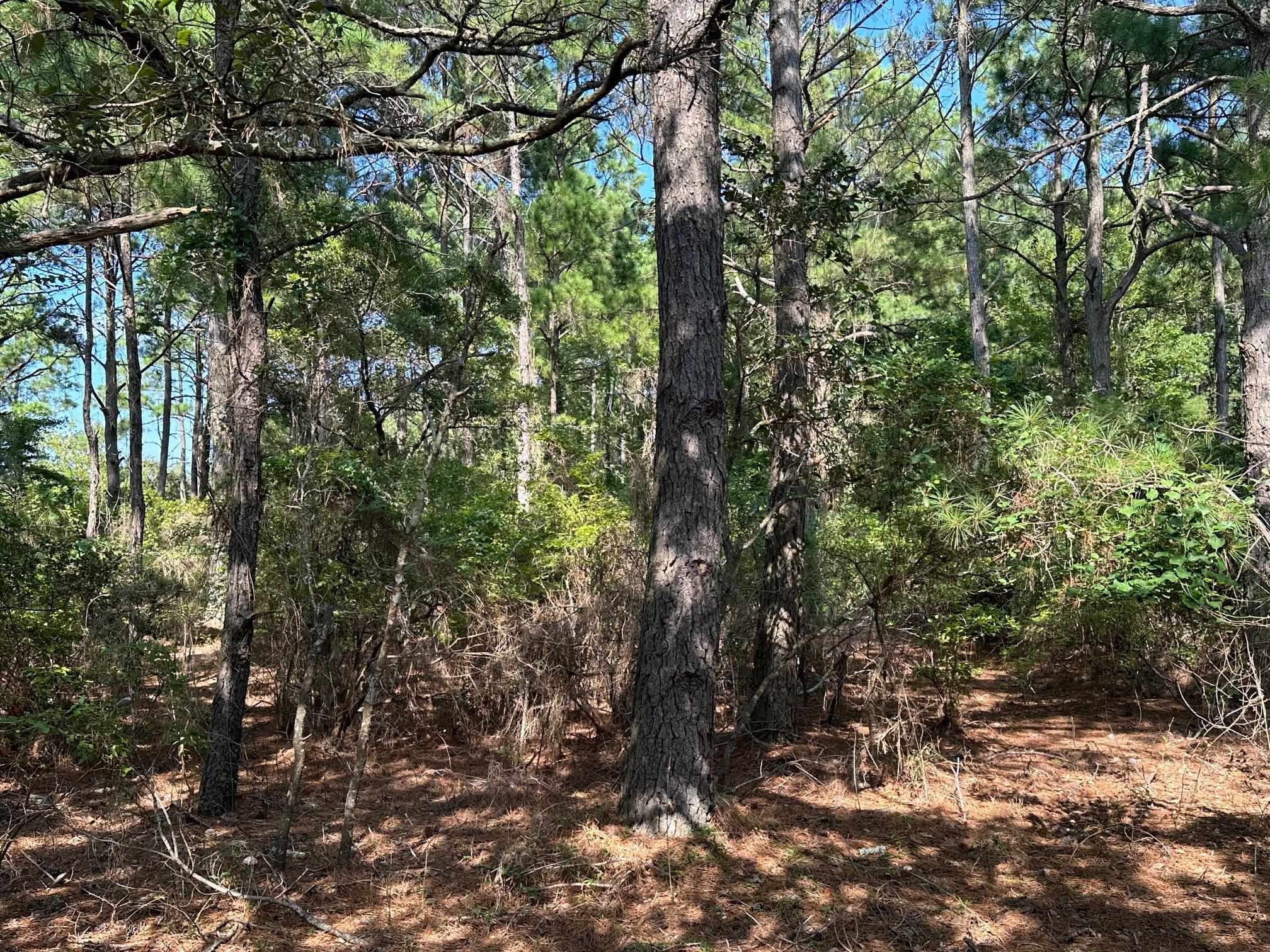 2303 False Cape Road Lot #14