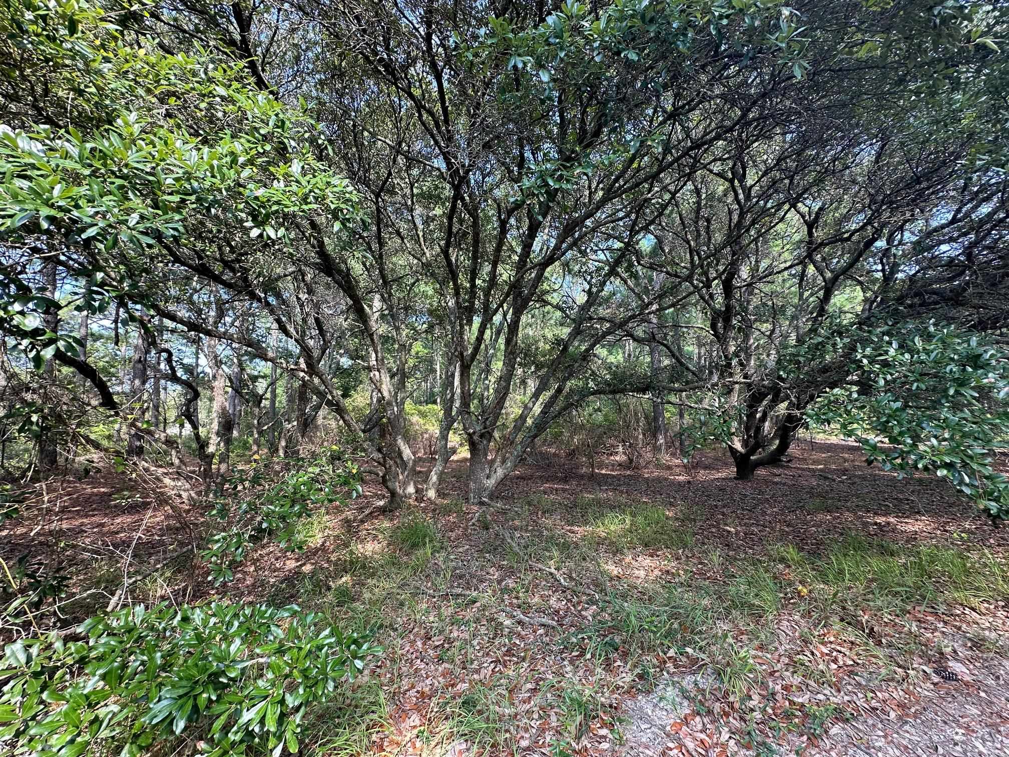 2303 False Cape Road Lot #14