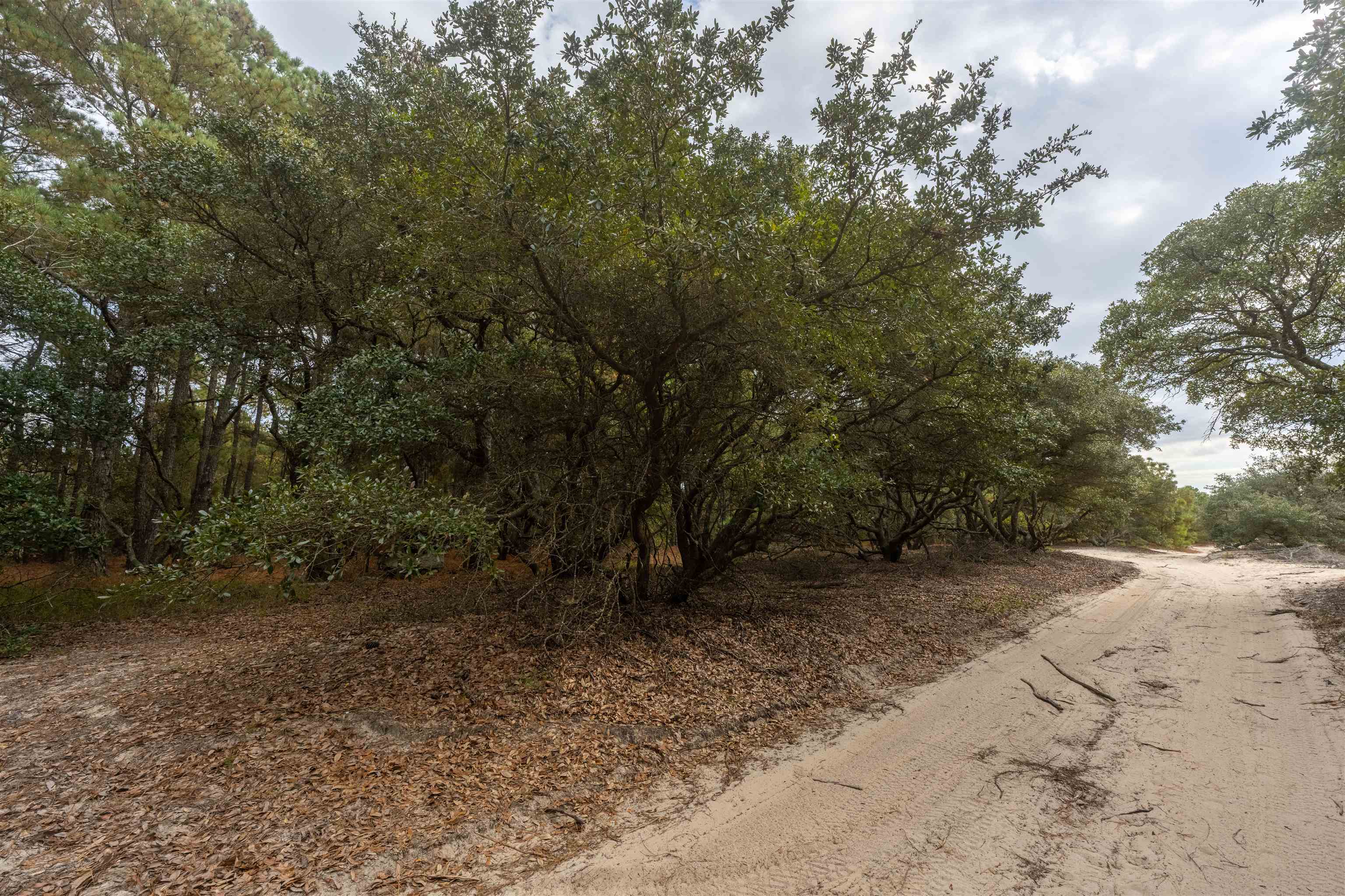 2313 Swan Island Road Lot #19