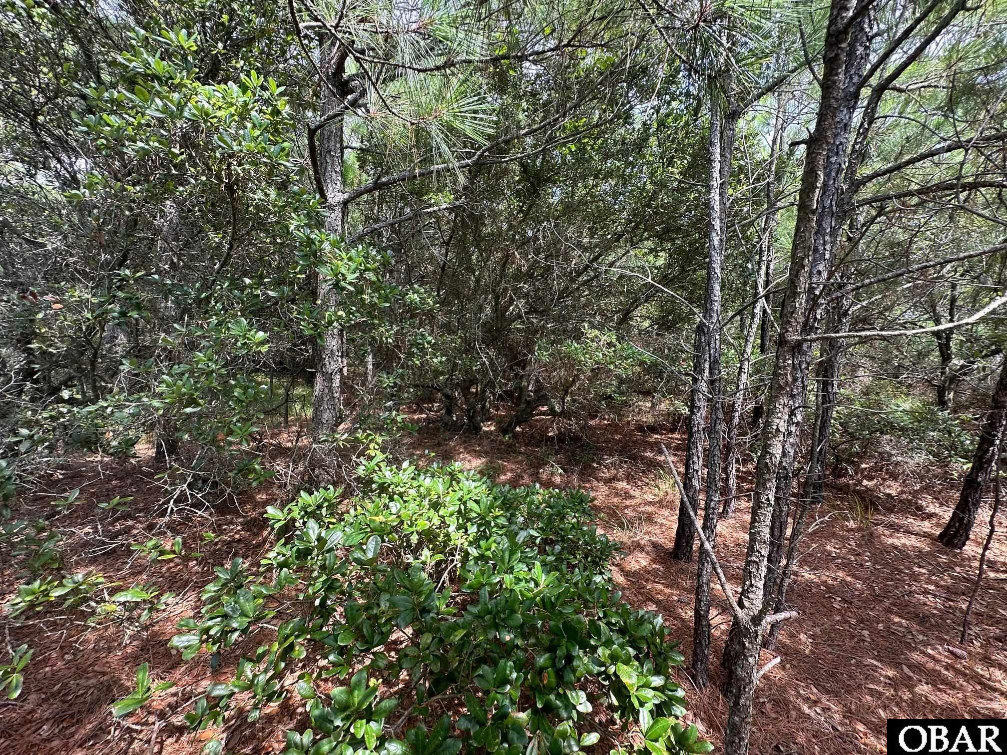 1975 Ocean Pearl Road Lot #88
