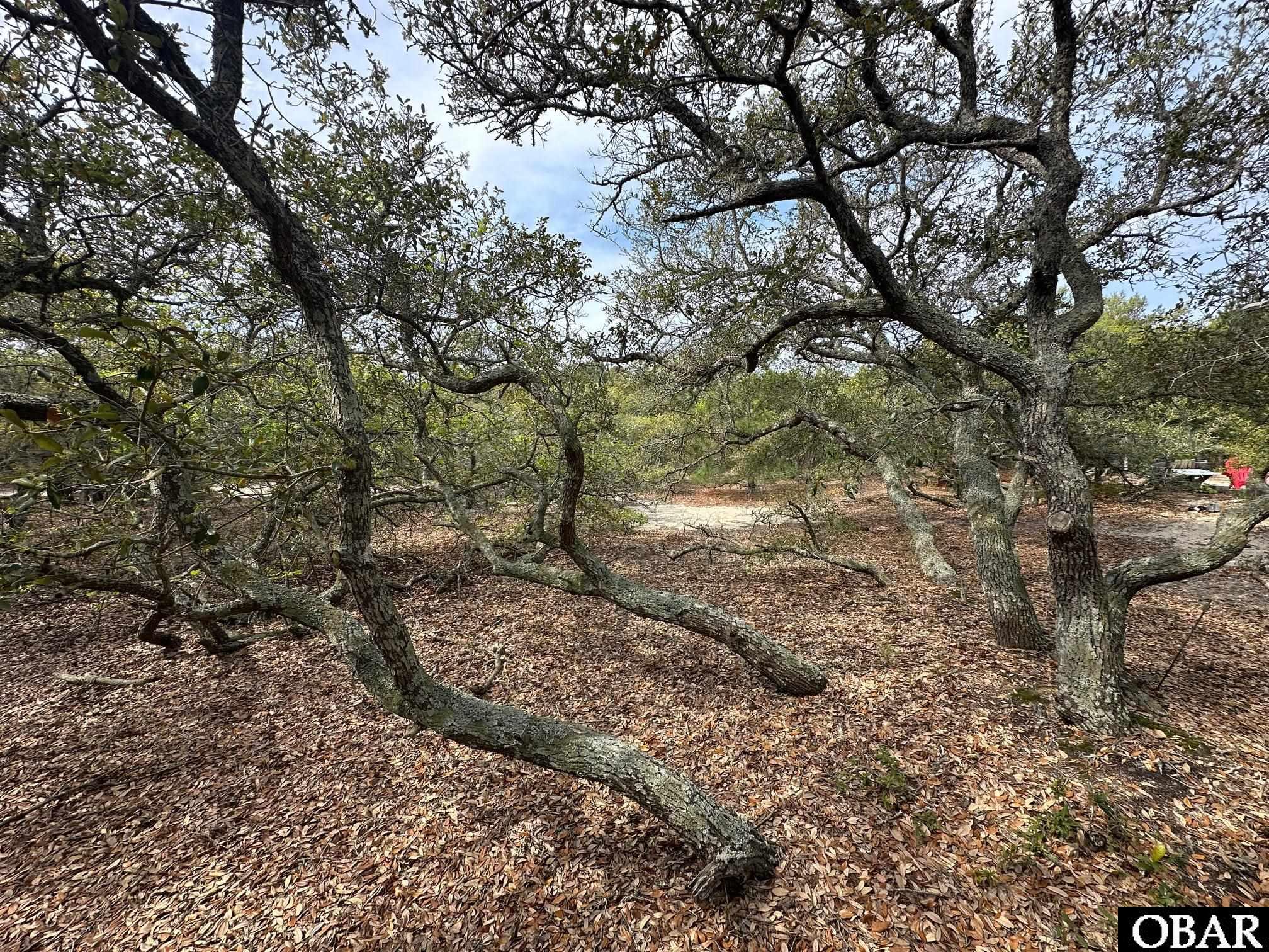 2008 Ridge Road Lot #38