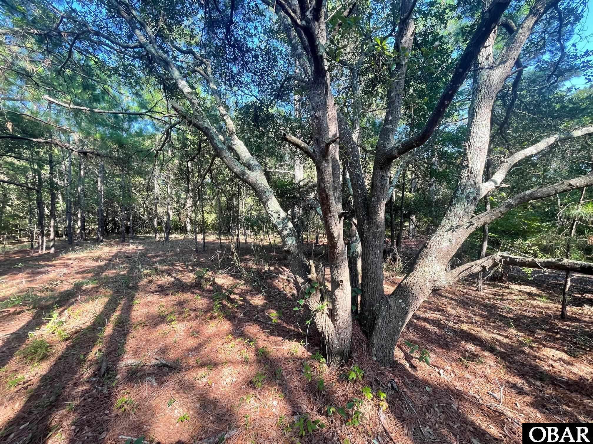 2377 Ocean Sands Road Lot #14