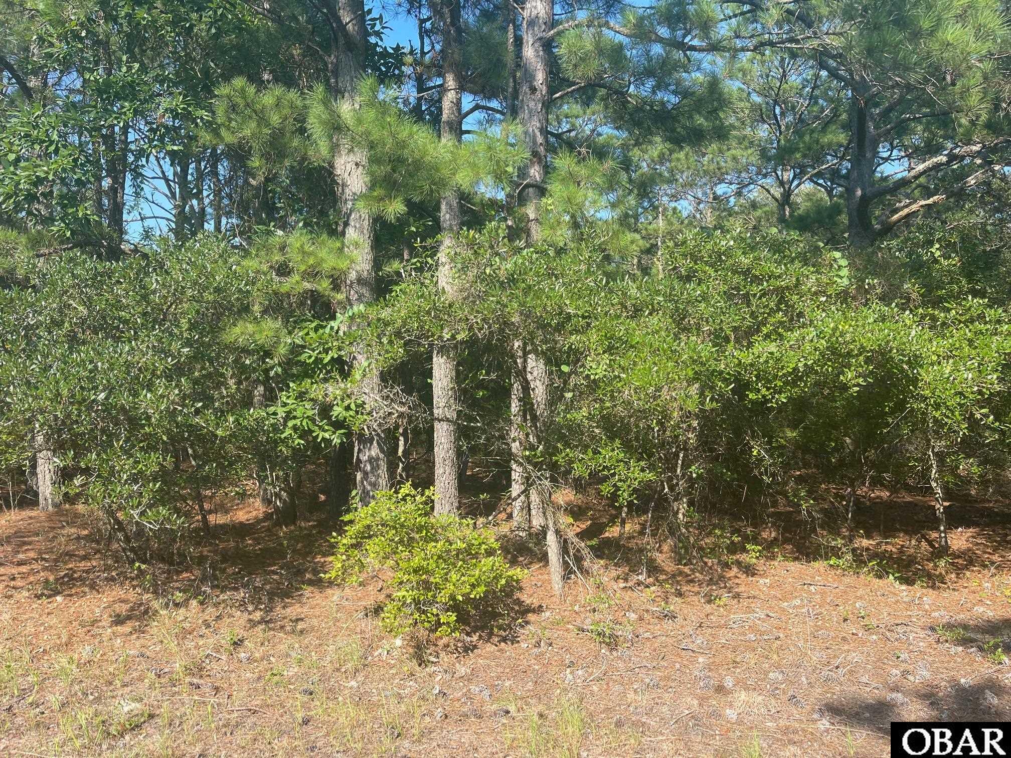 2377 Ocean Sands Road Lot #14