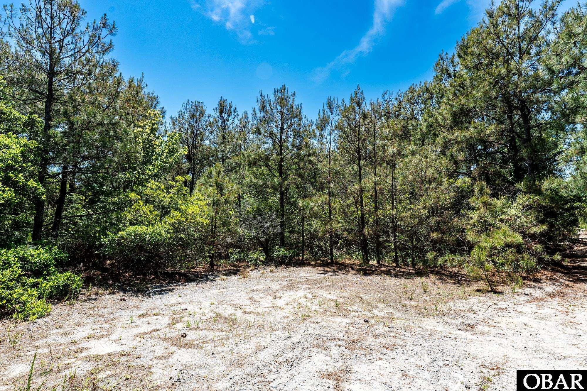 1508 Catesbys Run Lot #5
