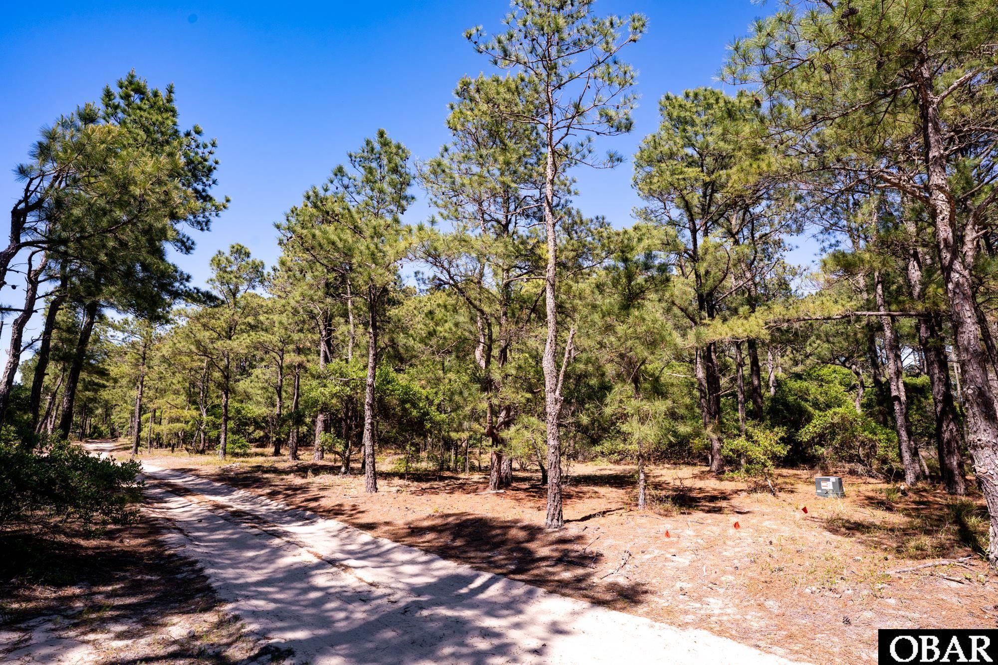2337 Swan Island Road Lot #19