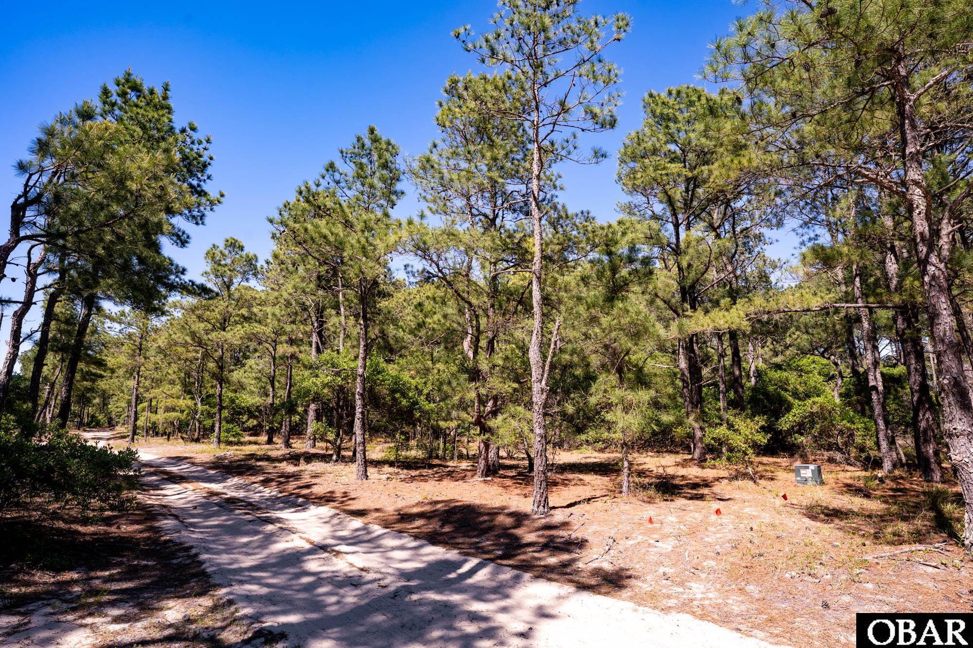 2337 Swan Island Road Lot #19