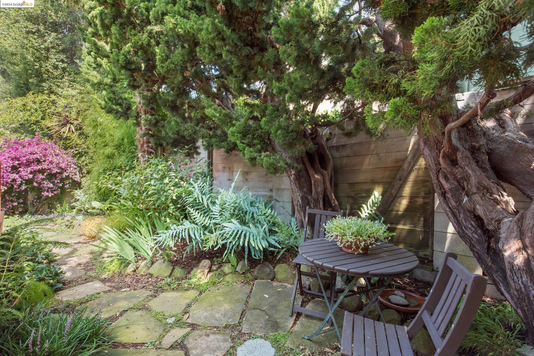 533 Neilson St