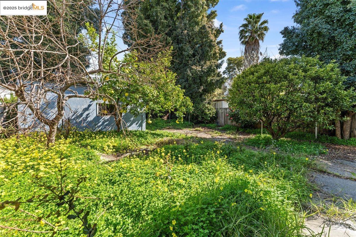 4076 Santa Rita St