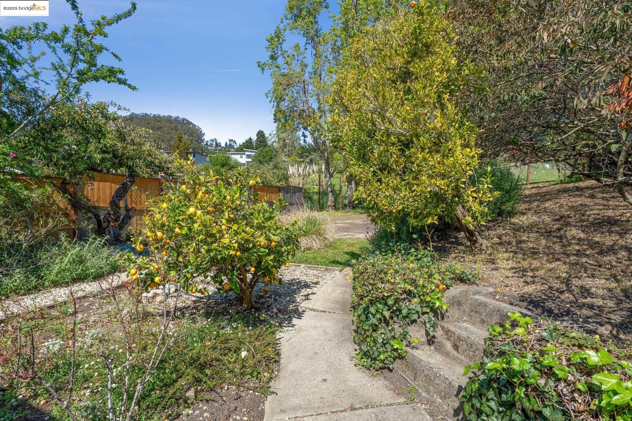 924 Balra Dr