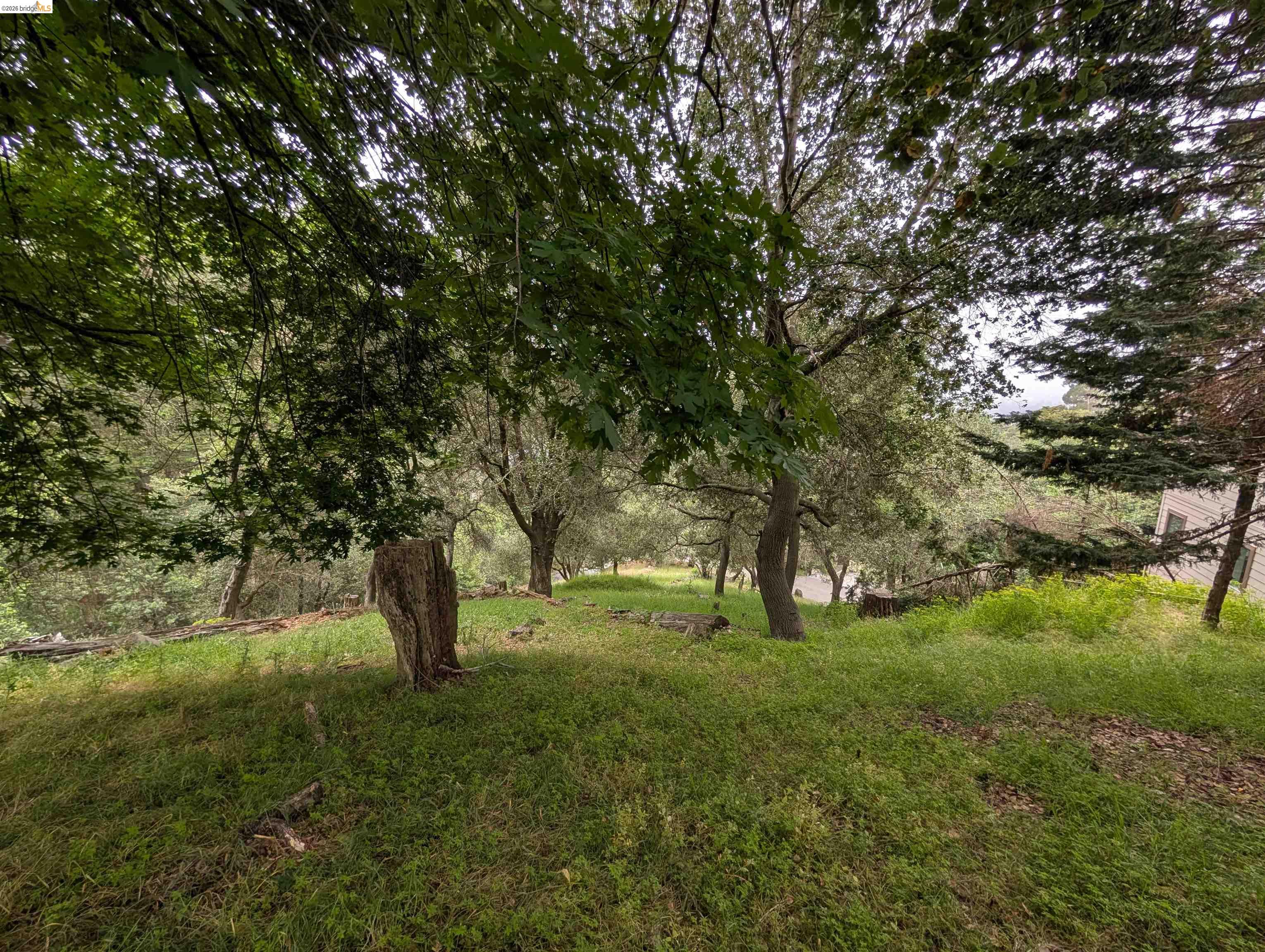 0 Chelsea Ct