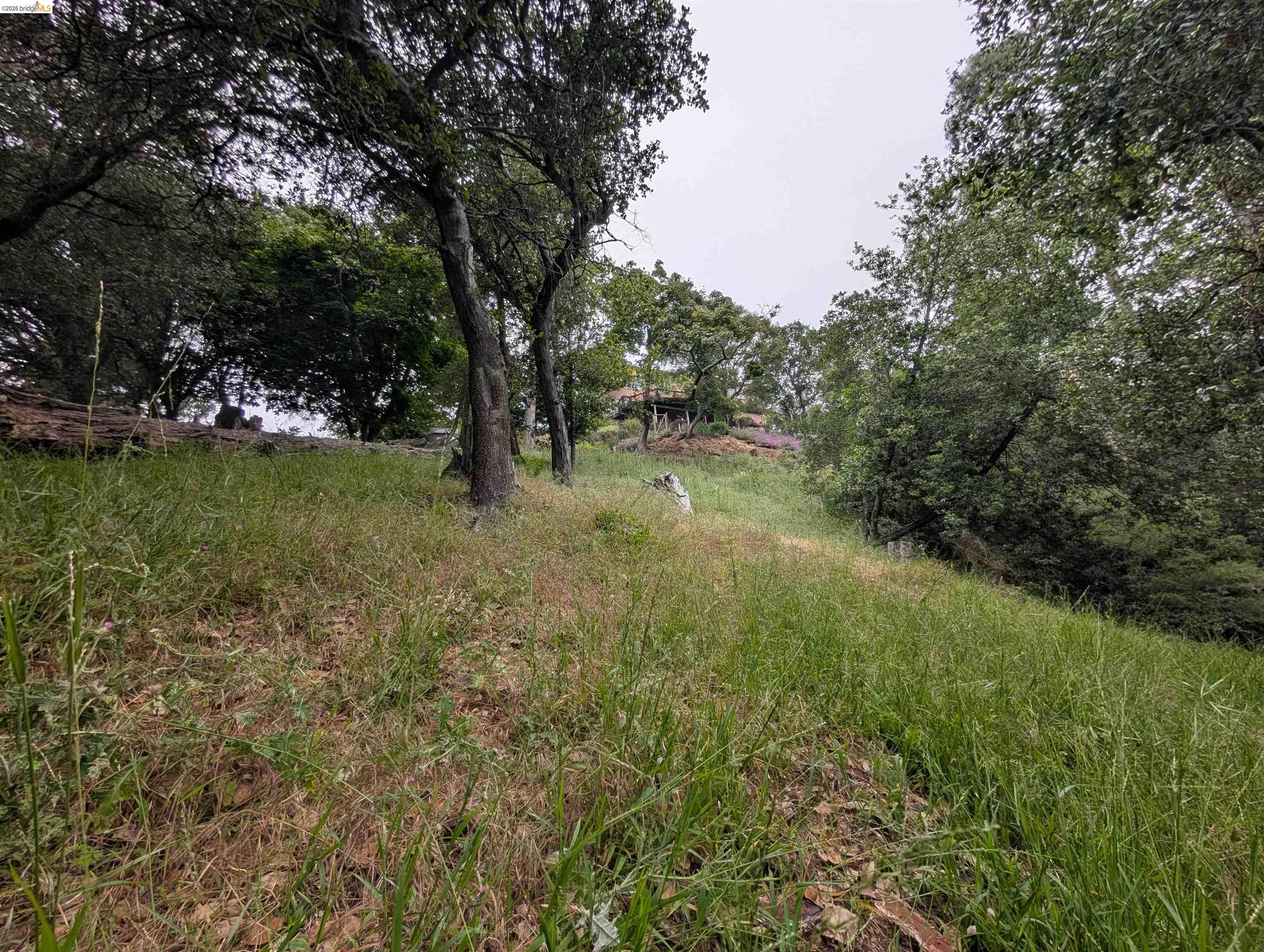 0 Chelsea Ct