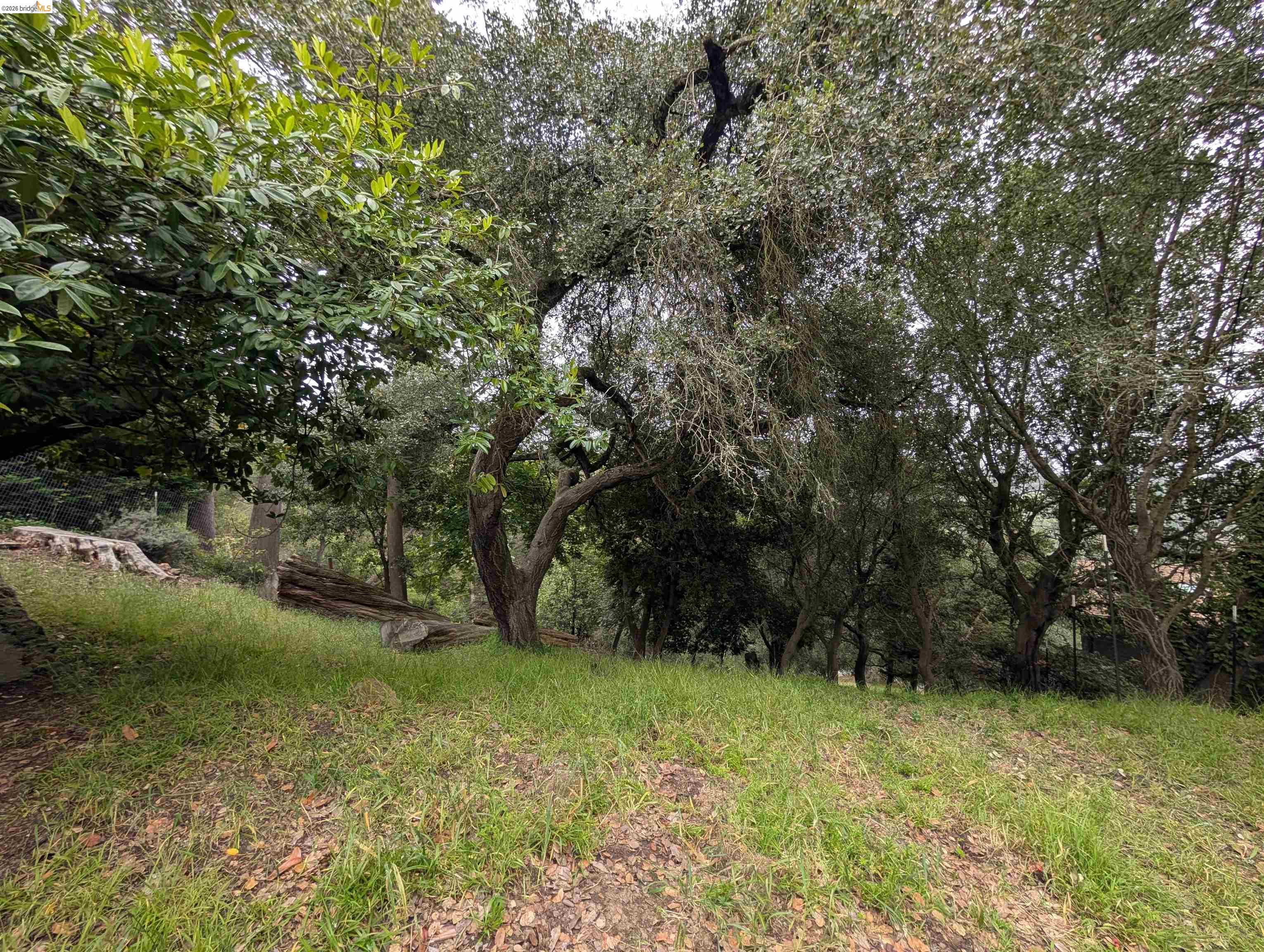 0 Chelsea Ct