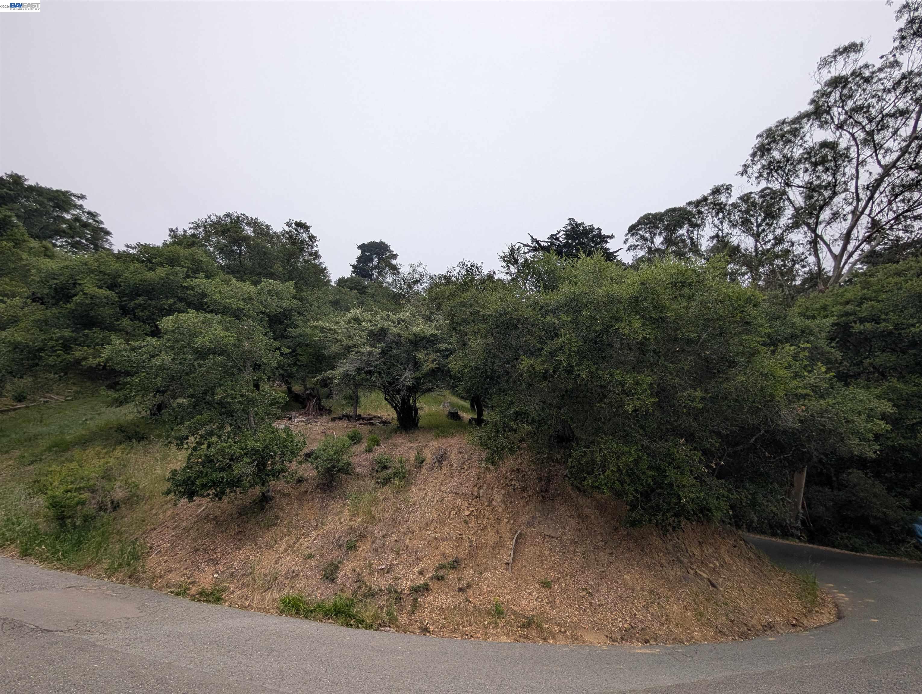 000 Girvin Drive