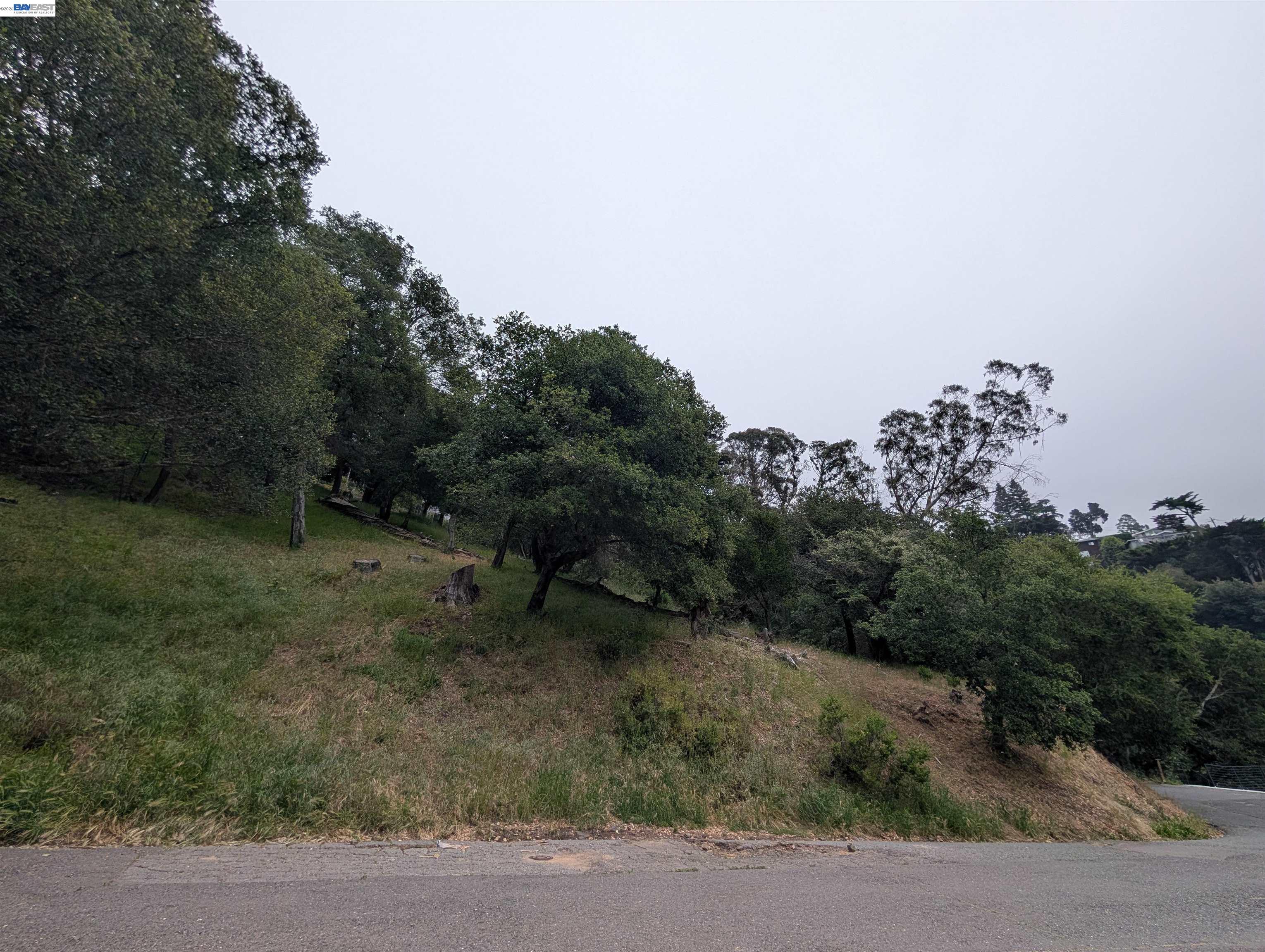 000 Girvin Drive