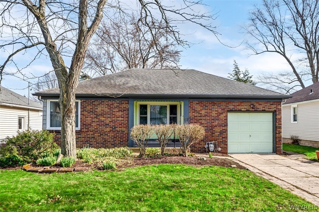 67 Olney Drive