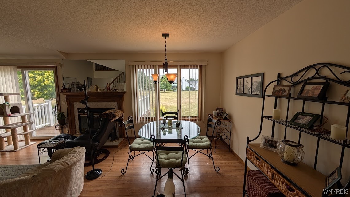 165 Niagara Shore Drive