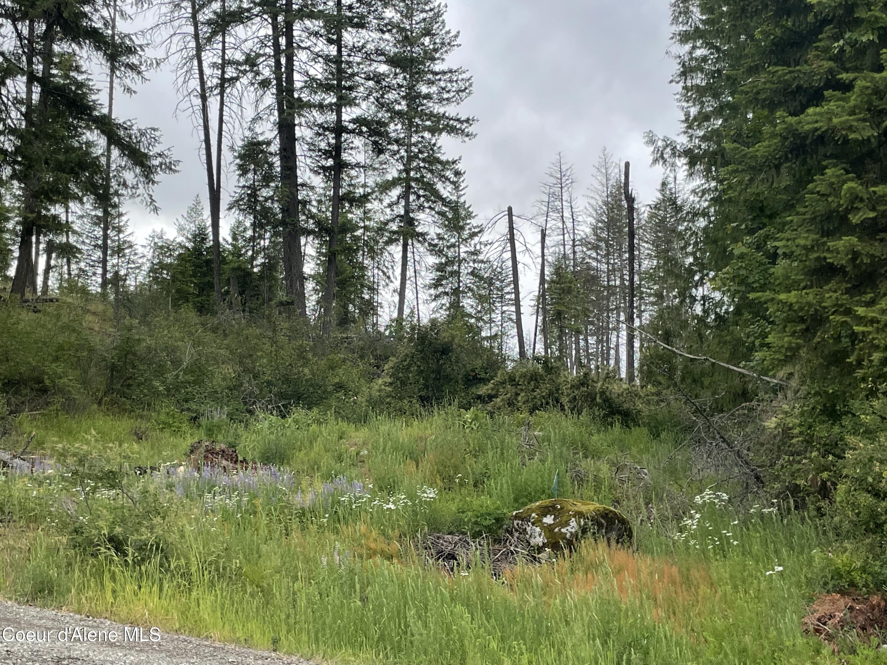 24010 N BRIDGE LAKE RD