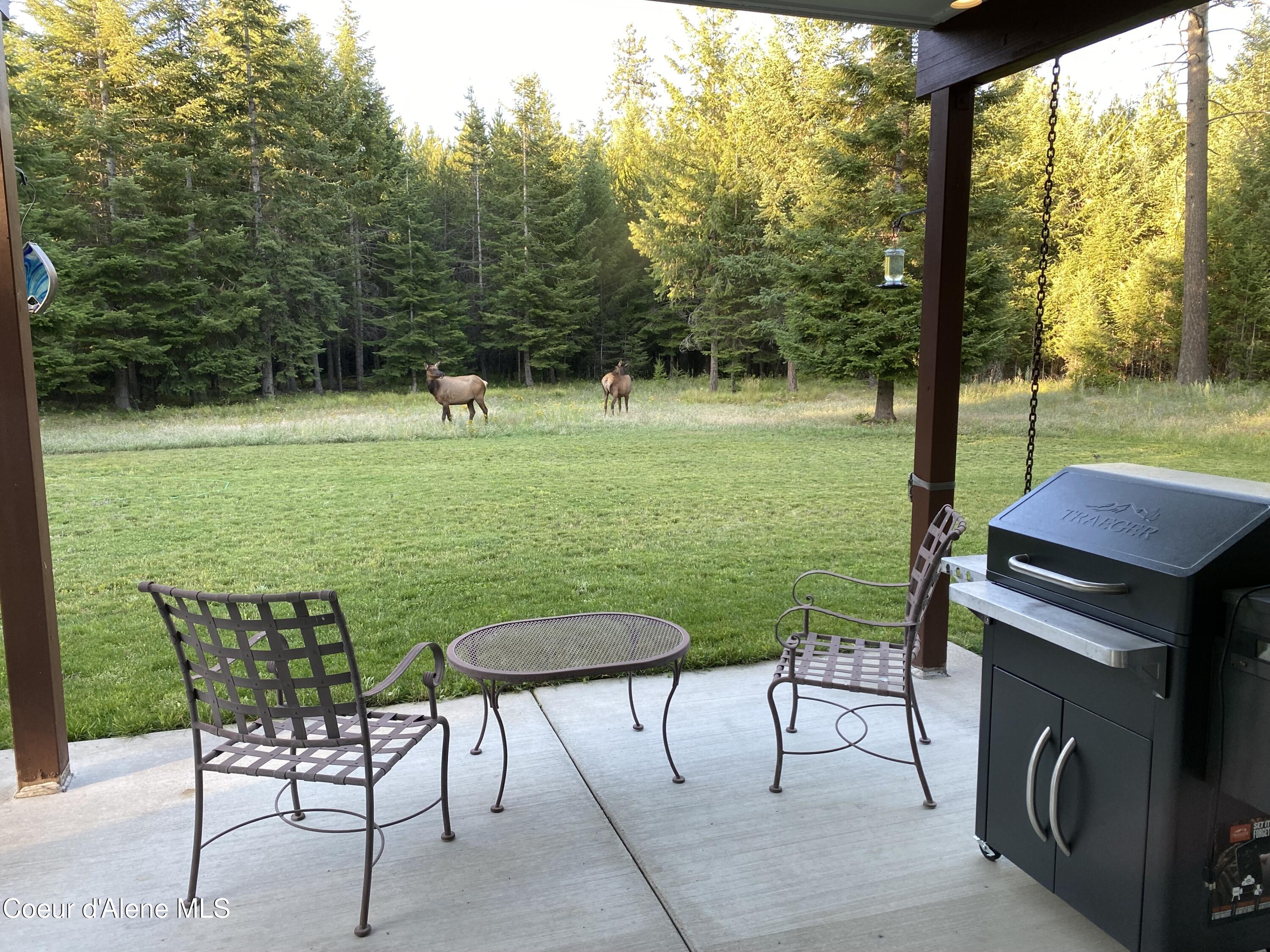 11683 E WHITETAIL DR