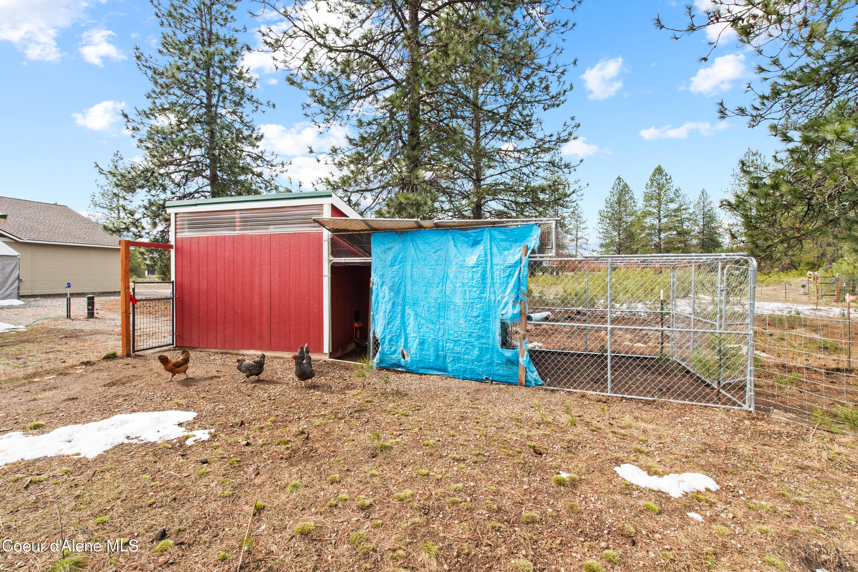35554 N Williams LN