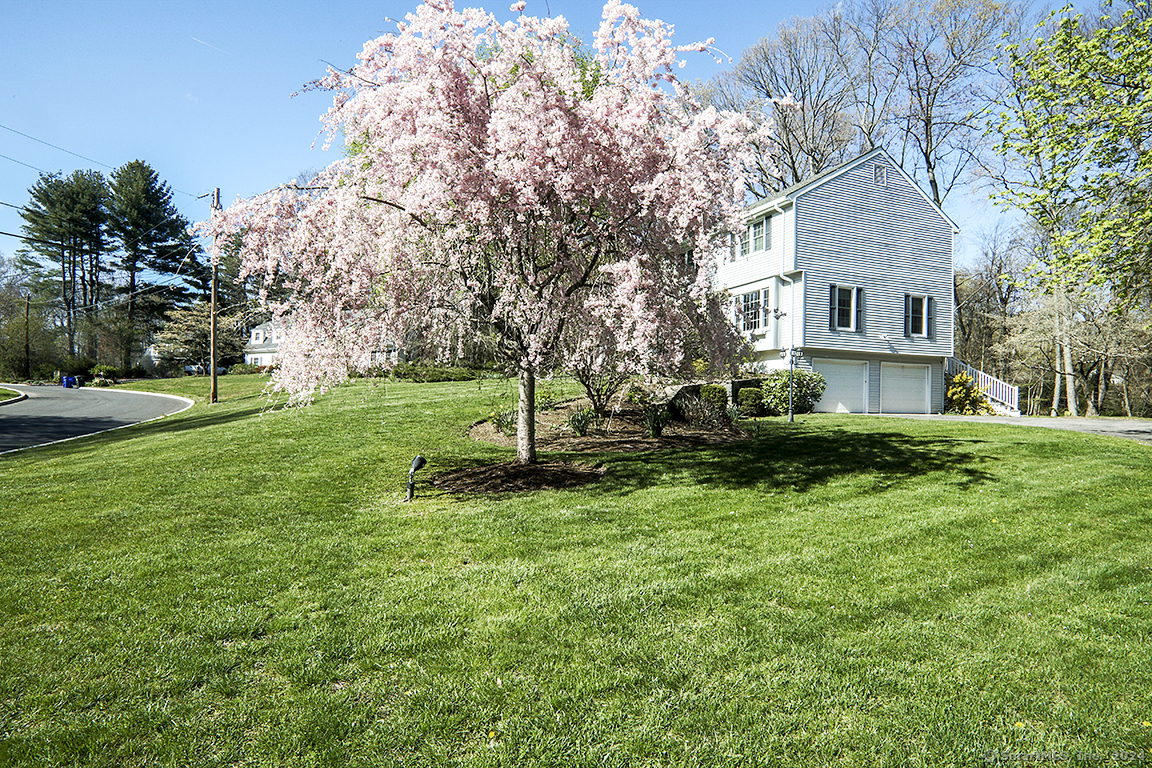 22 Princes Pine Road