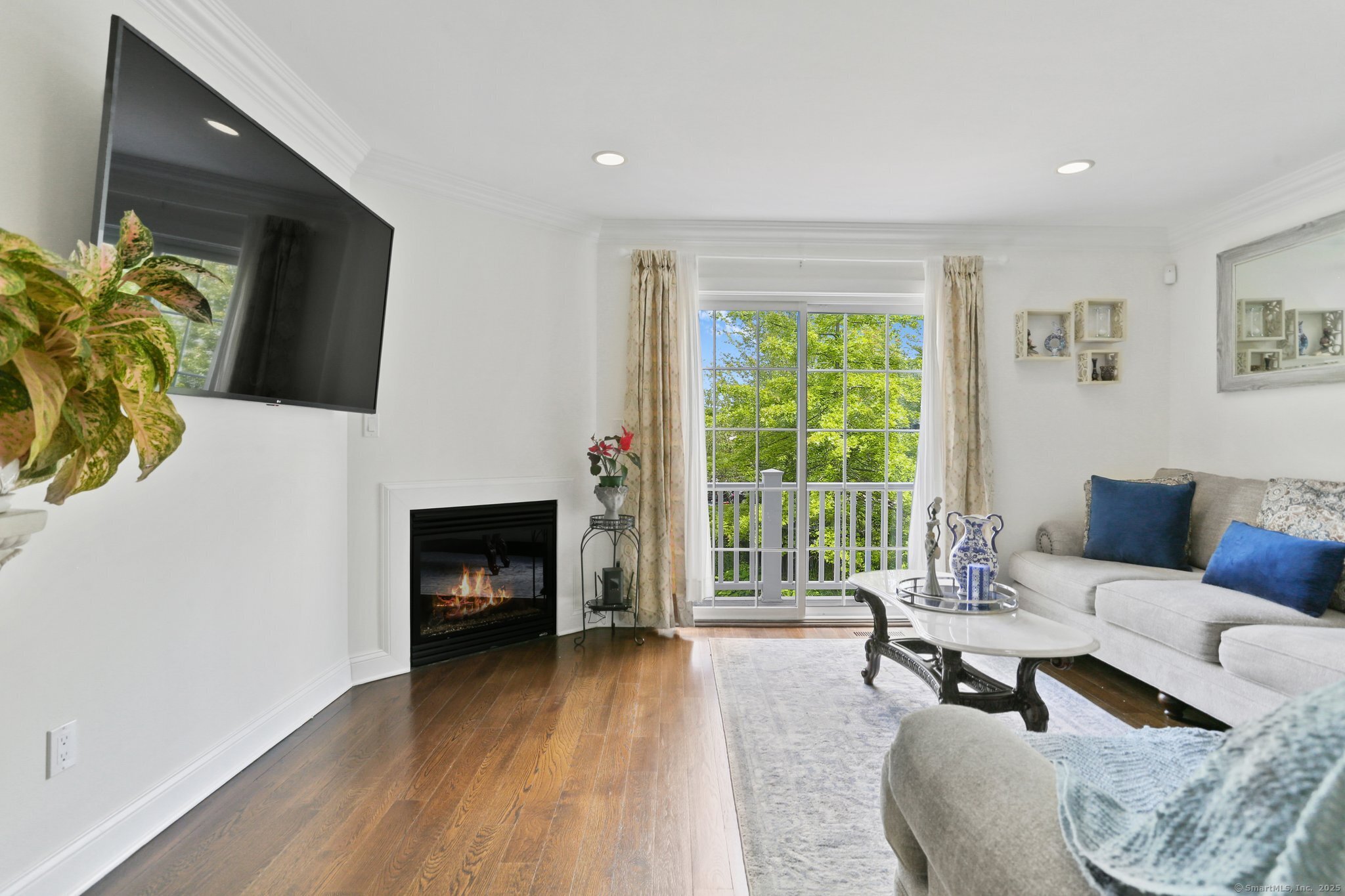 12 Willard Road 4