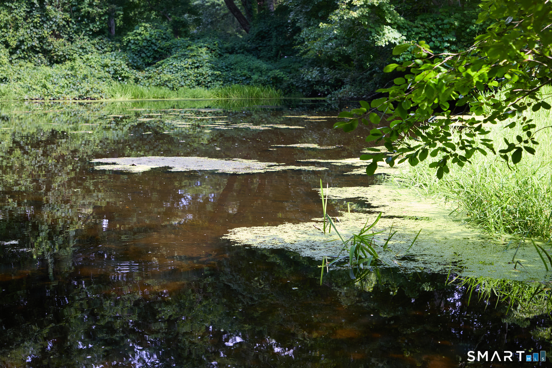 17 Old Mill Road