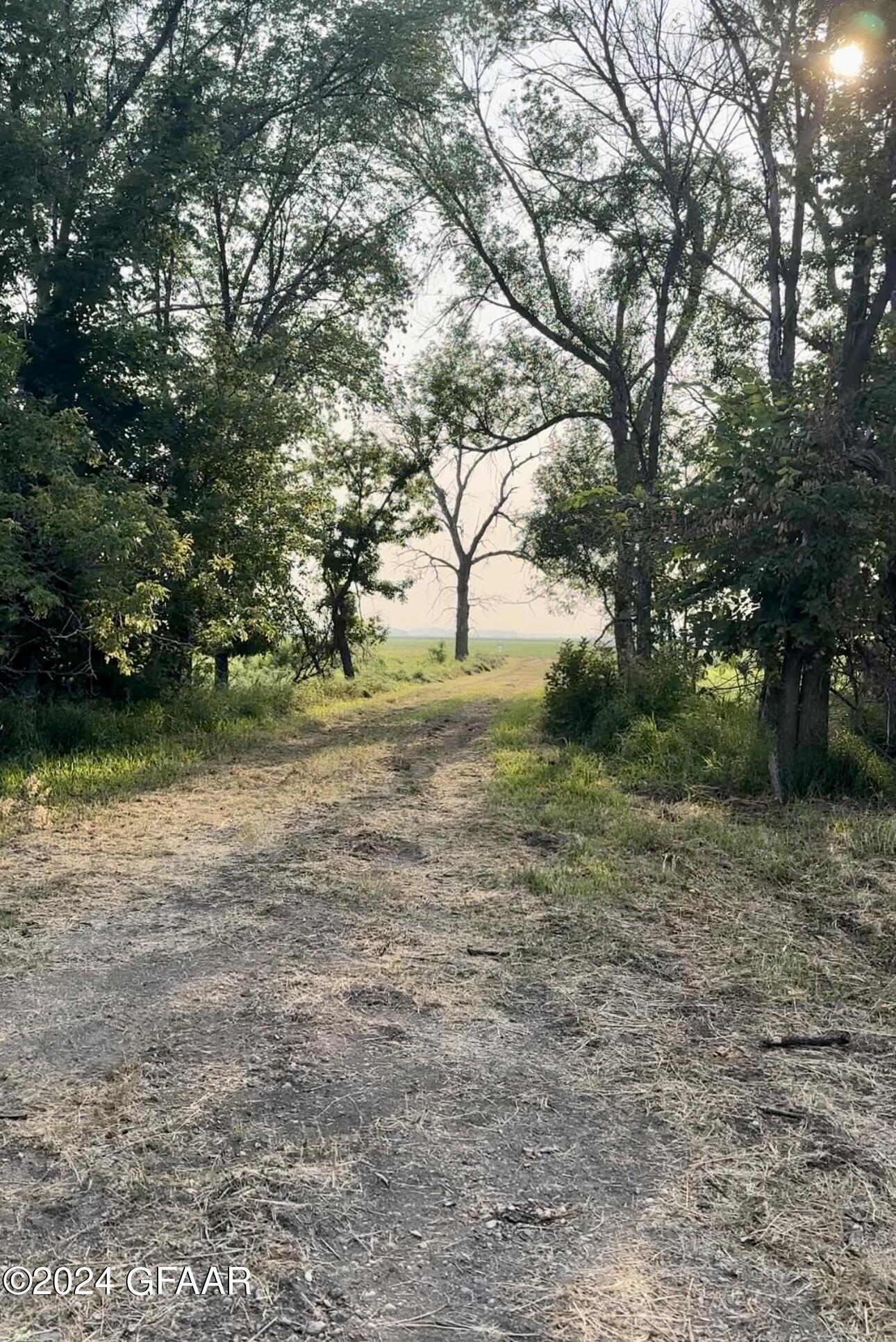 1118 164TH Avenue NE